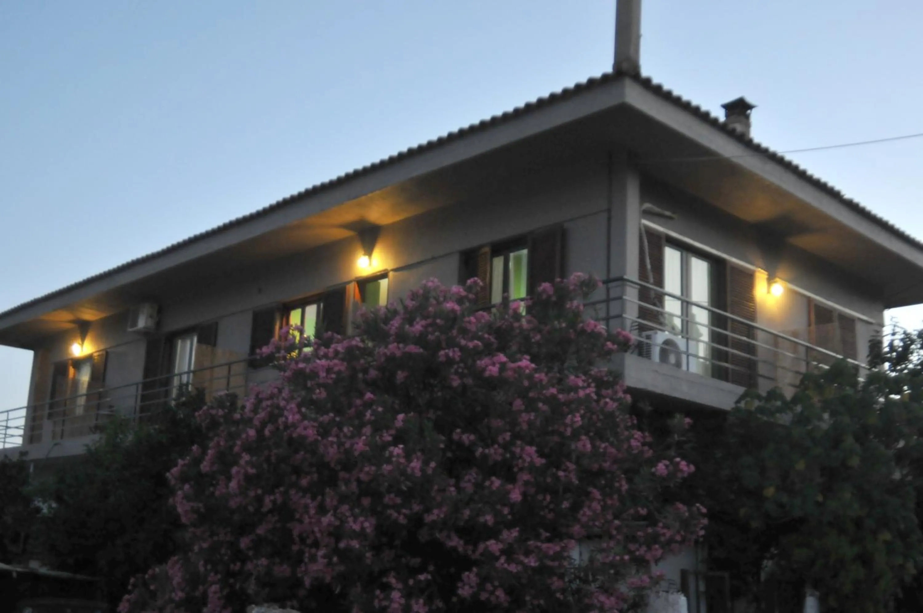 Property building in Mellia