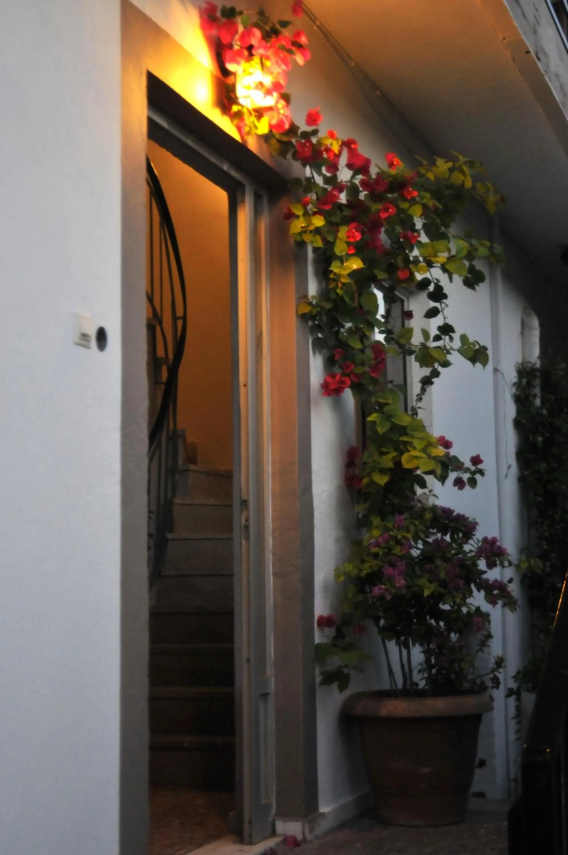 Property building in Mellia