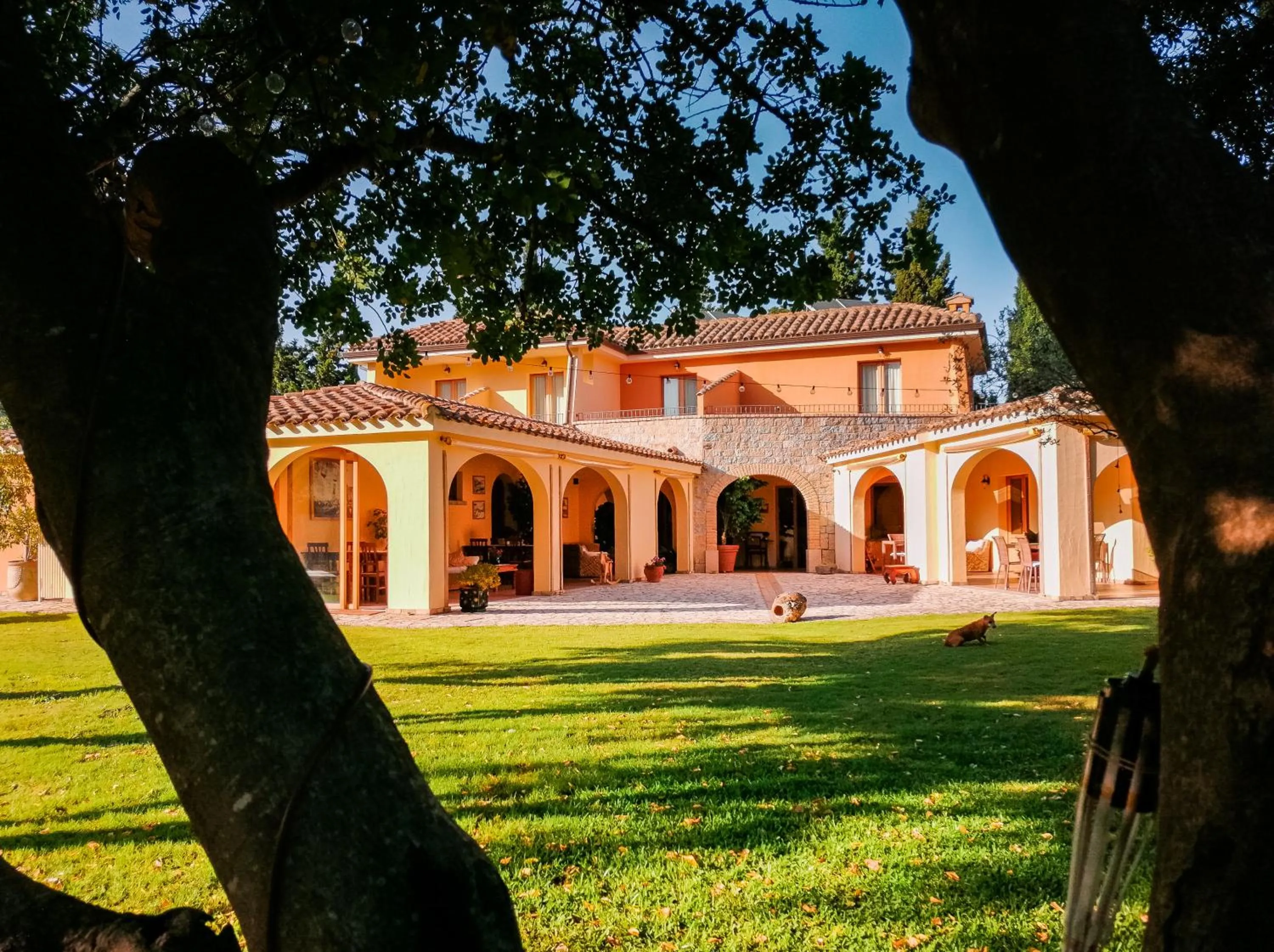 Property building in S'Arenada Hotel - Adults Only