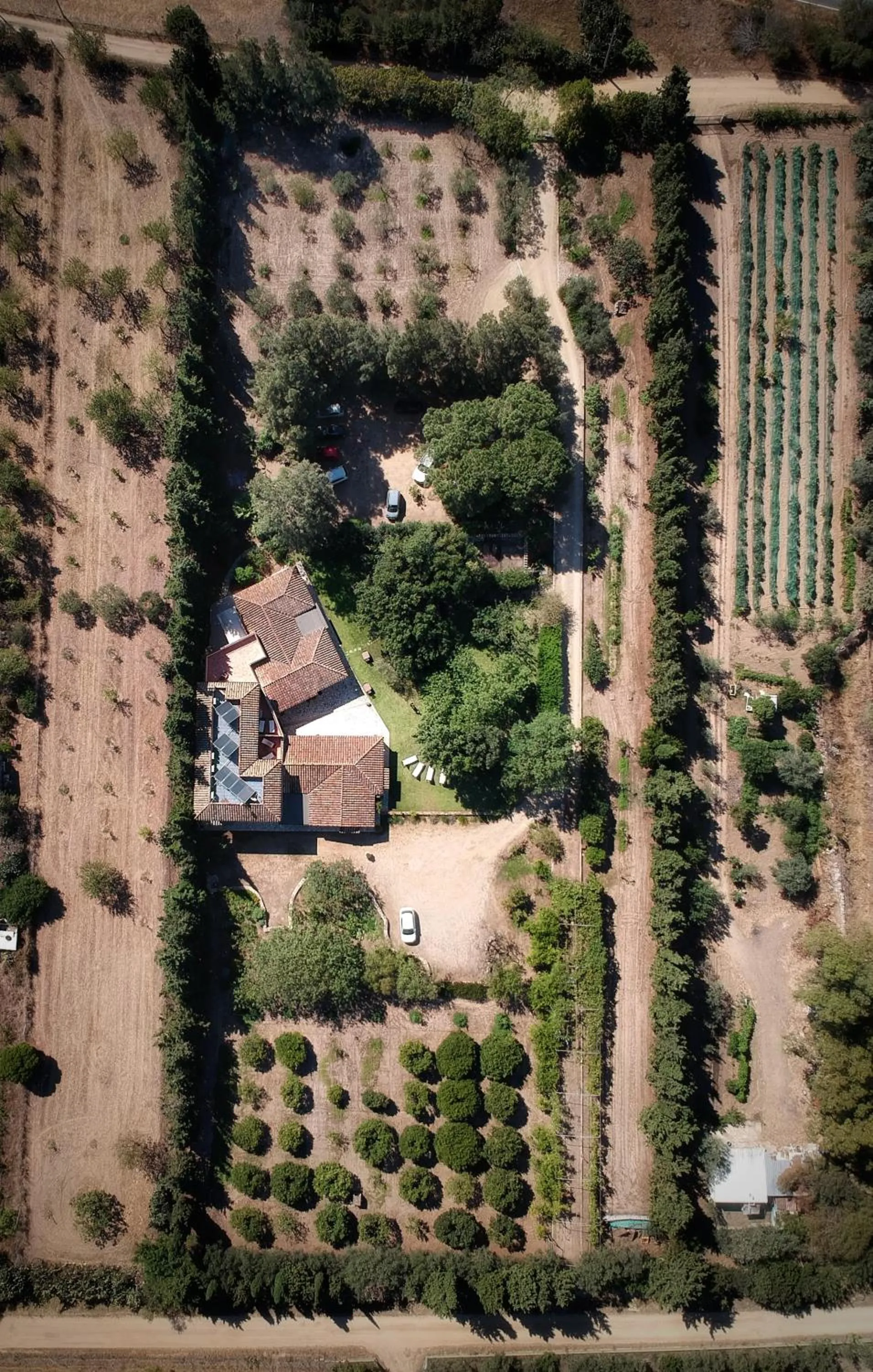 Natural landscape in S'Arenada Hotel - Adults Only