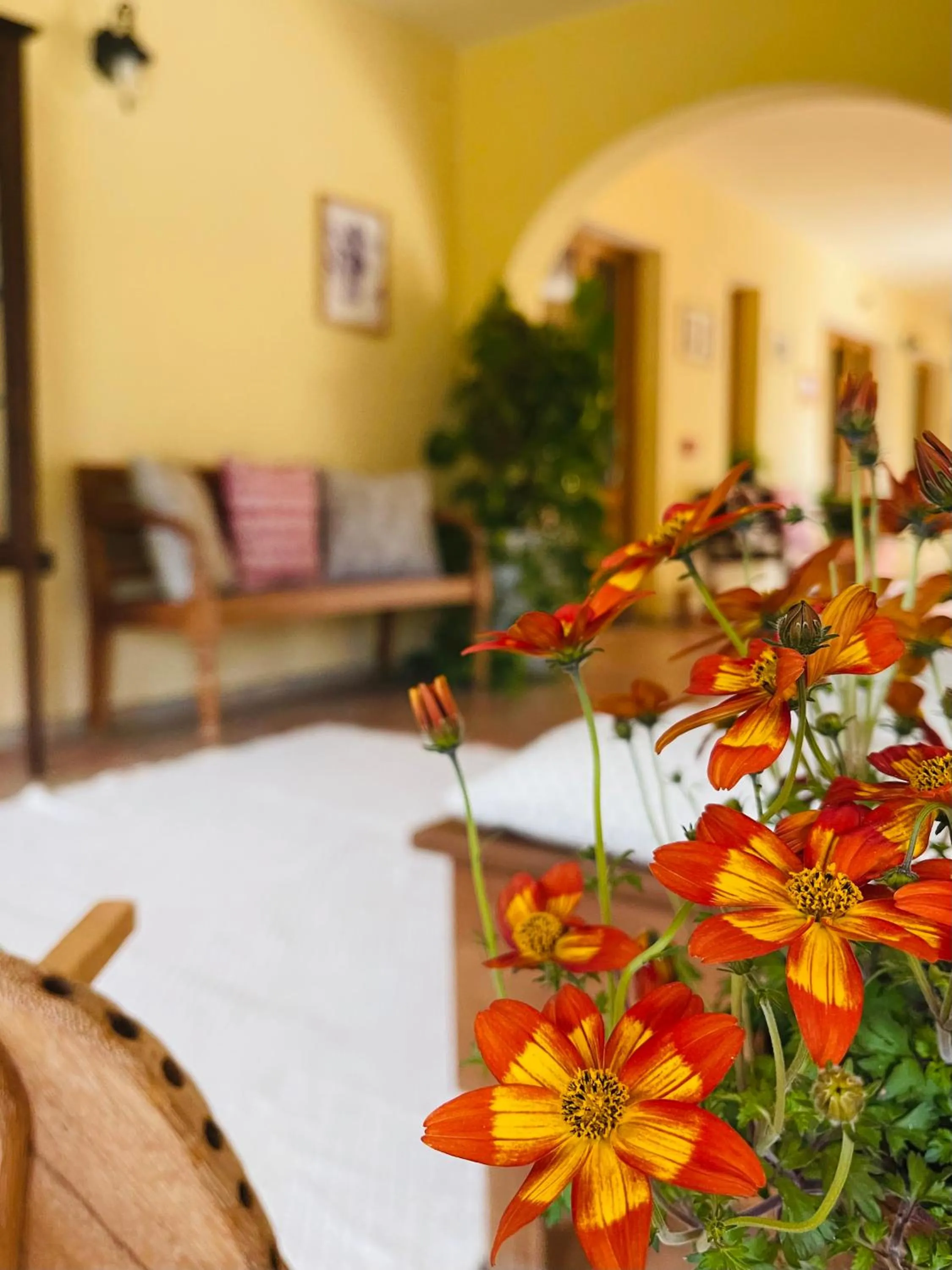 Patio, Bed in S'Arenada Hotel - Adults Only