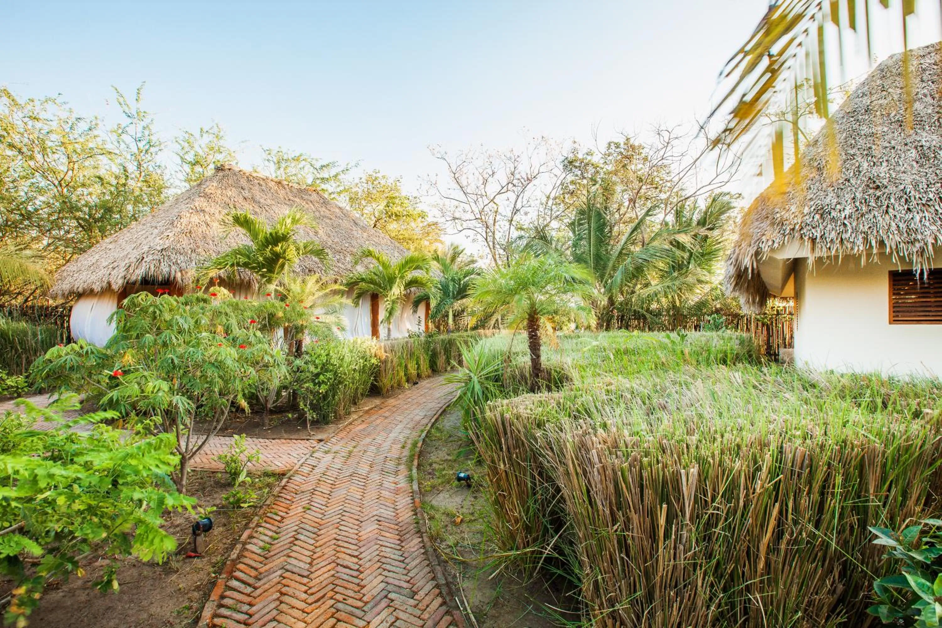 Area and facilities in Malibu Popoyo