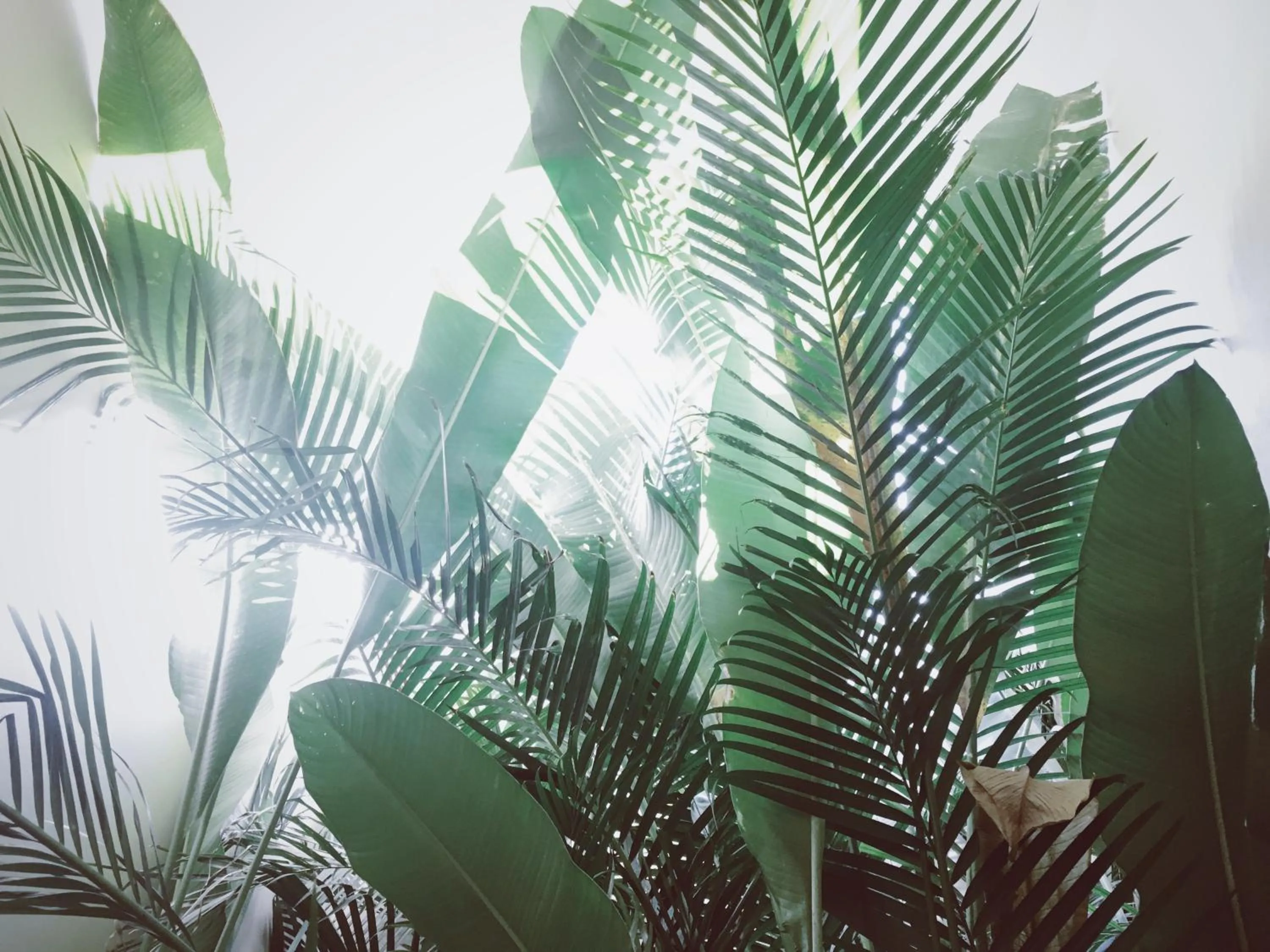 Shower in Malibu Popoyo