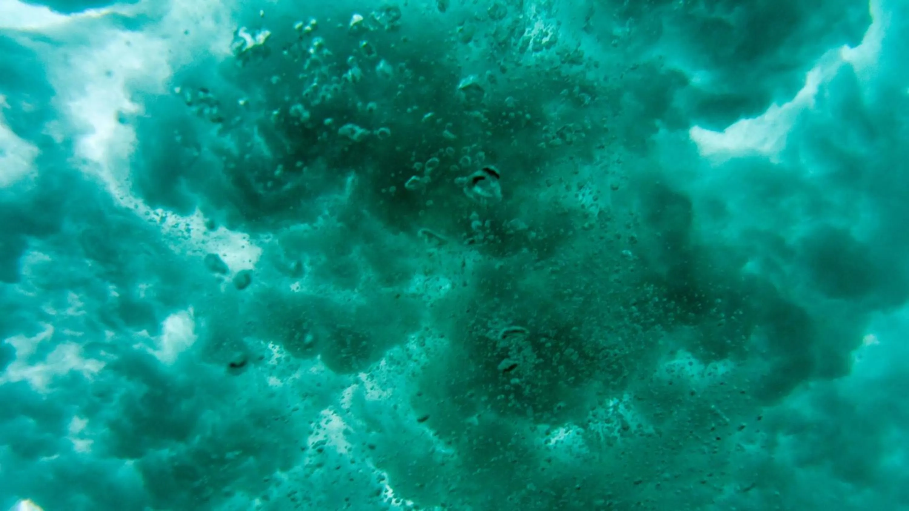 Nearby landmark in Malibu Popoyo