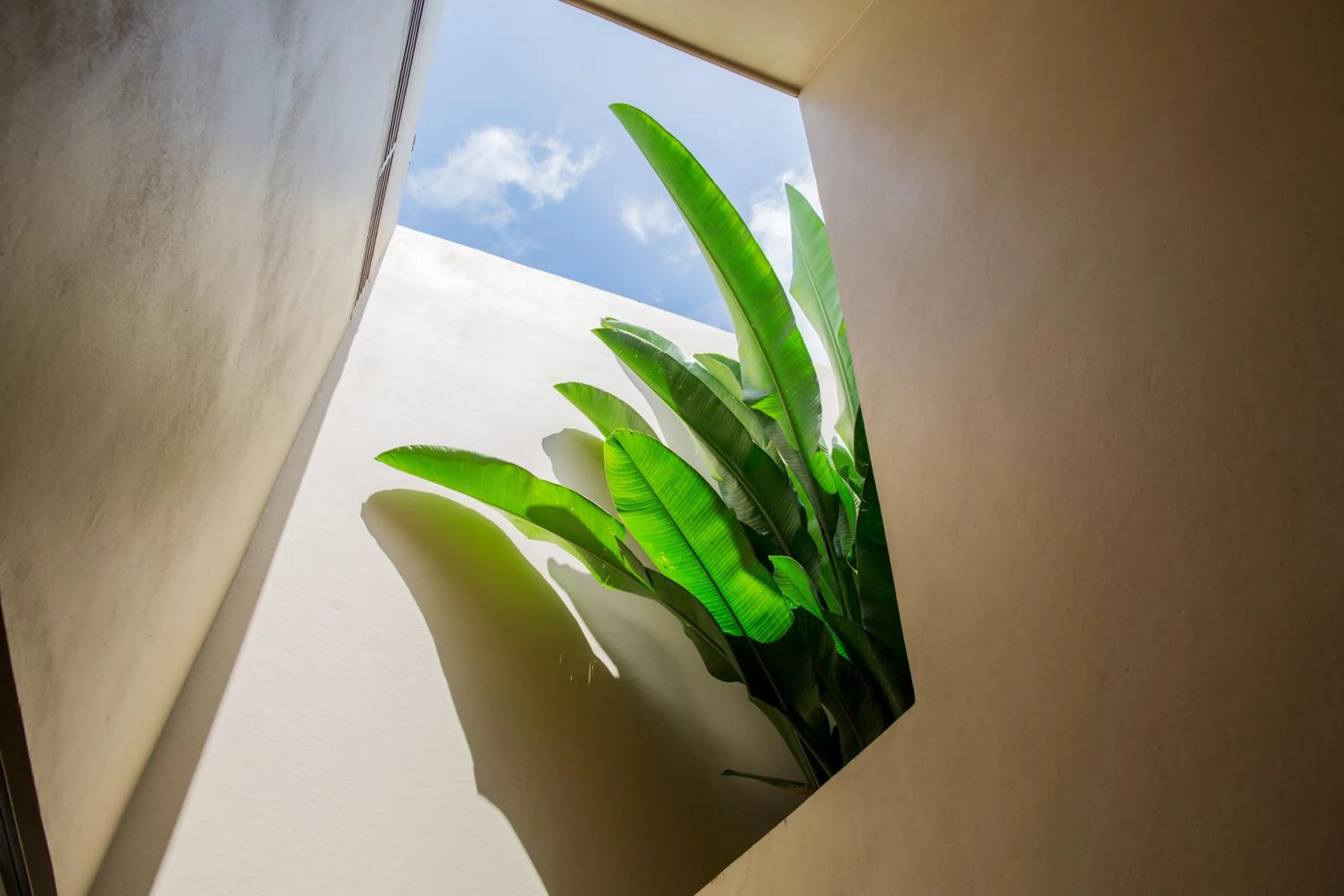 Patio in Malibu Popoyo