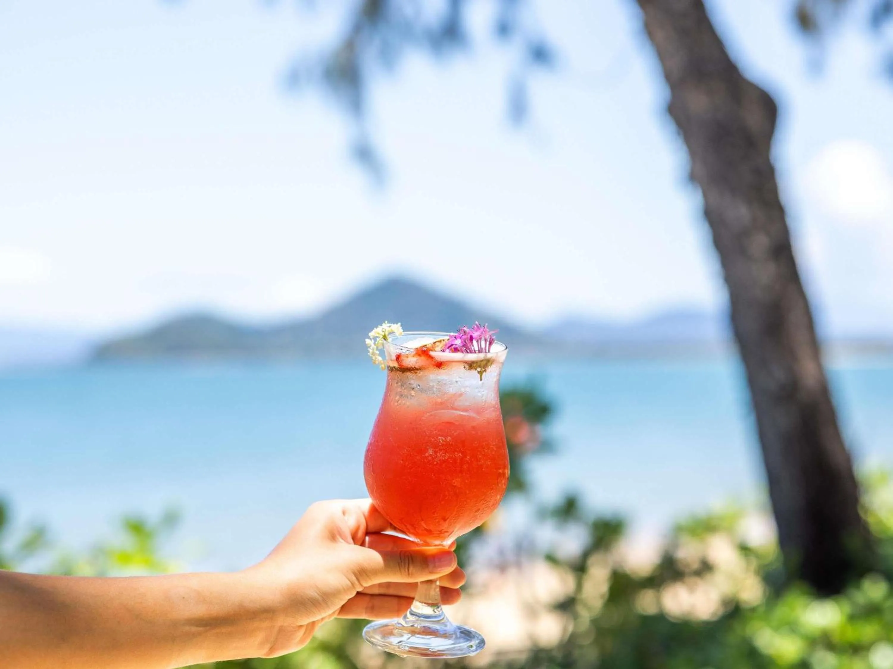 Lounge or bar in Peppers Beach Club & Spa