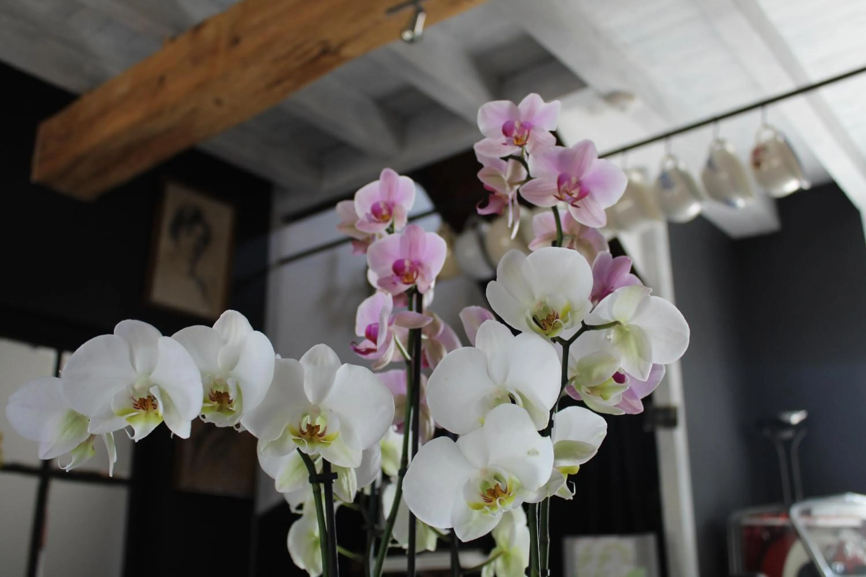 Decorative detail in Le Clos des Troubadours