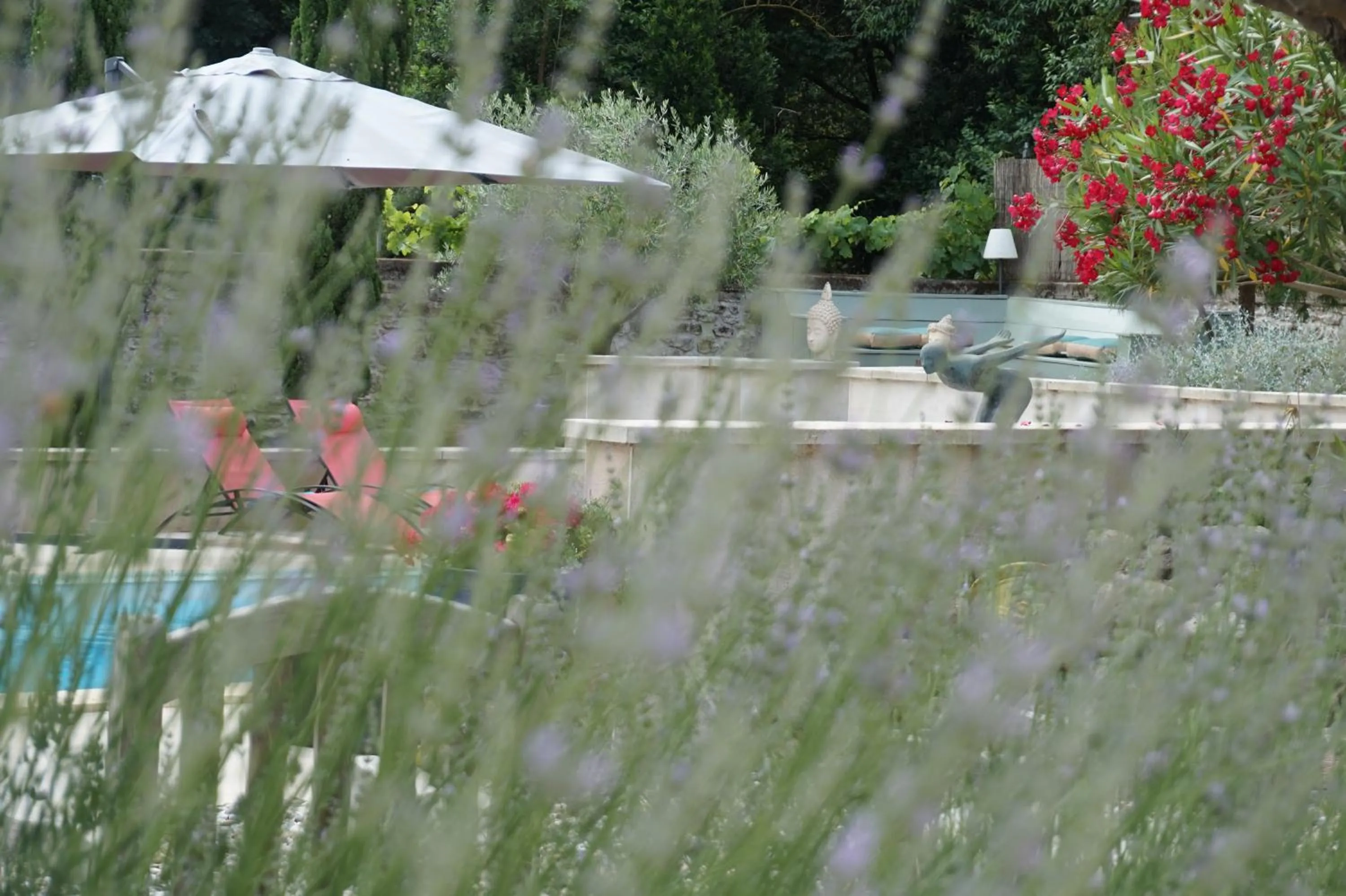 Garden in Le Clos des Troubadours