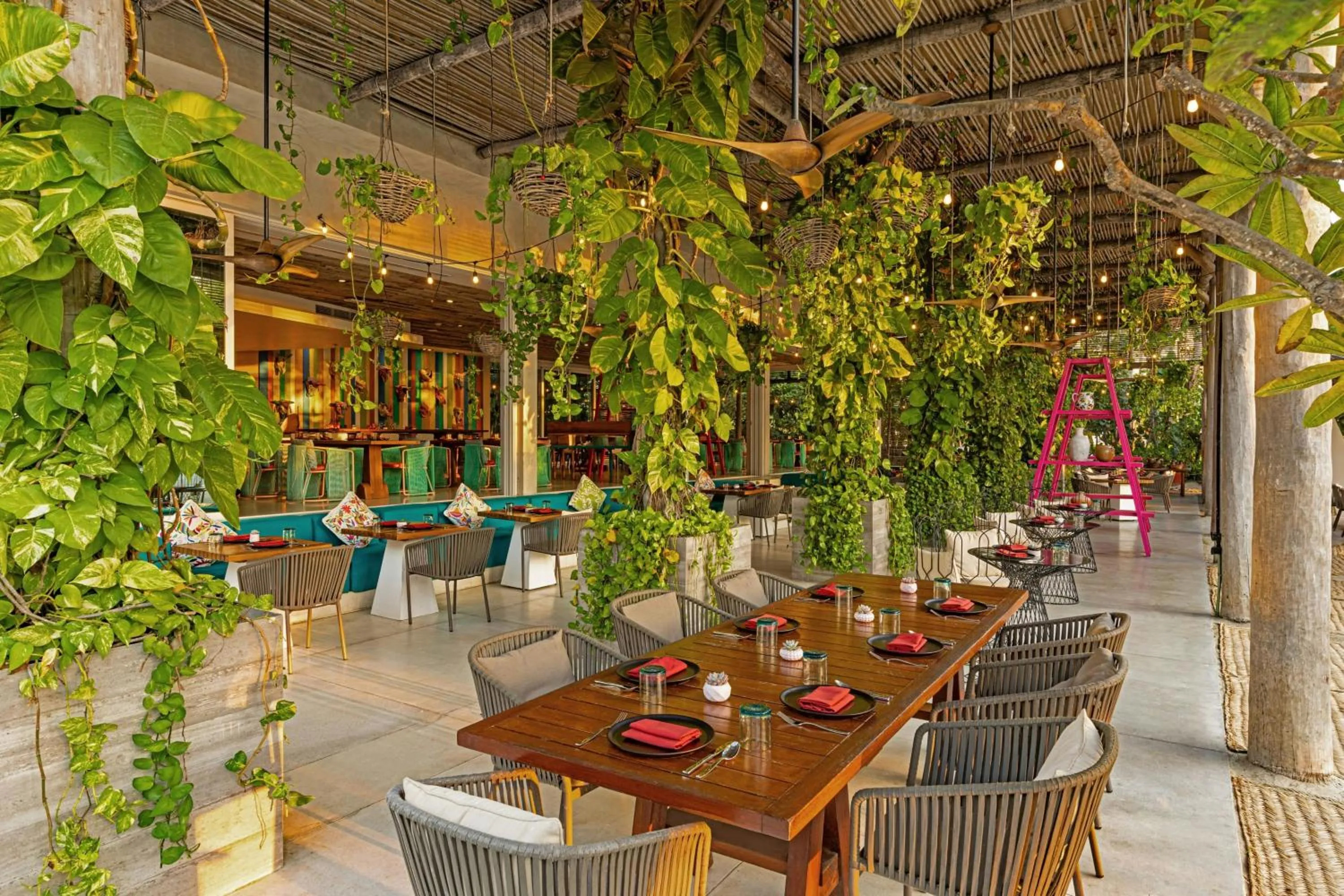 Restaurant/places to eat in W Punta de Mita