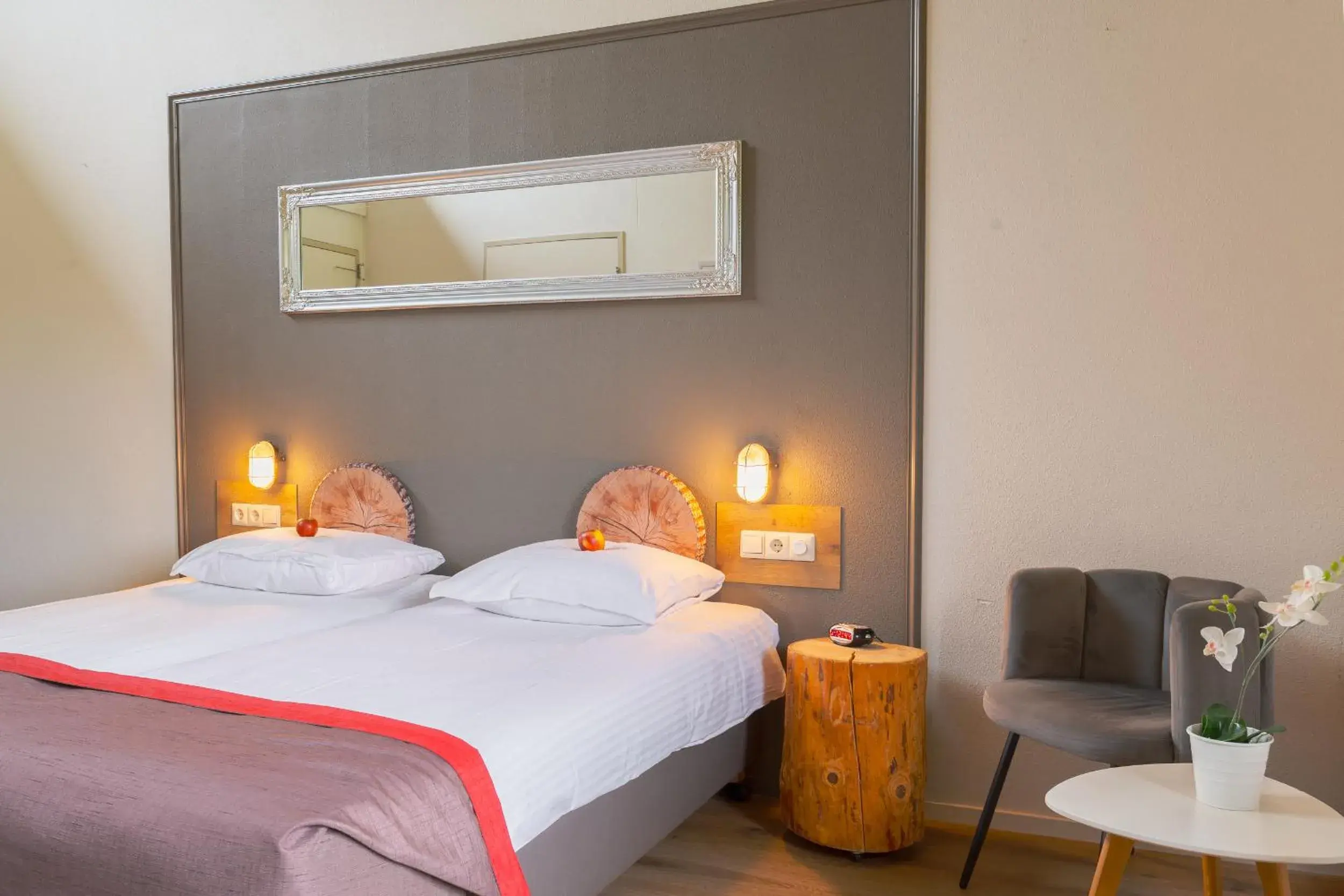 Standard Double Room - single occupancy in Landhotel Diever Standard Double Room - single occupancy in Landhotel Diever