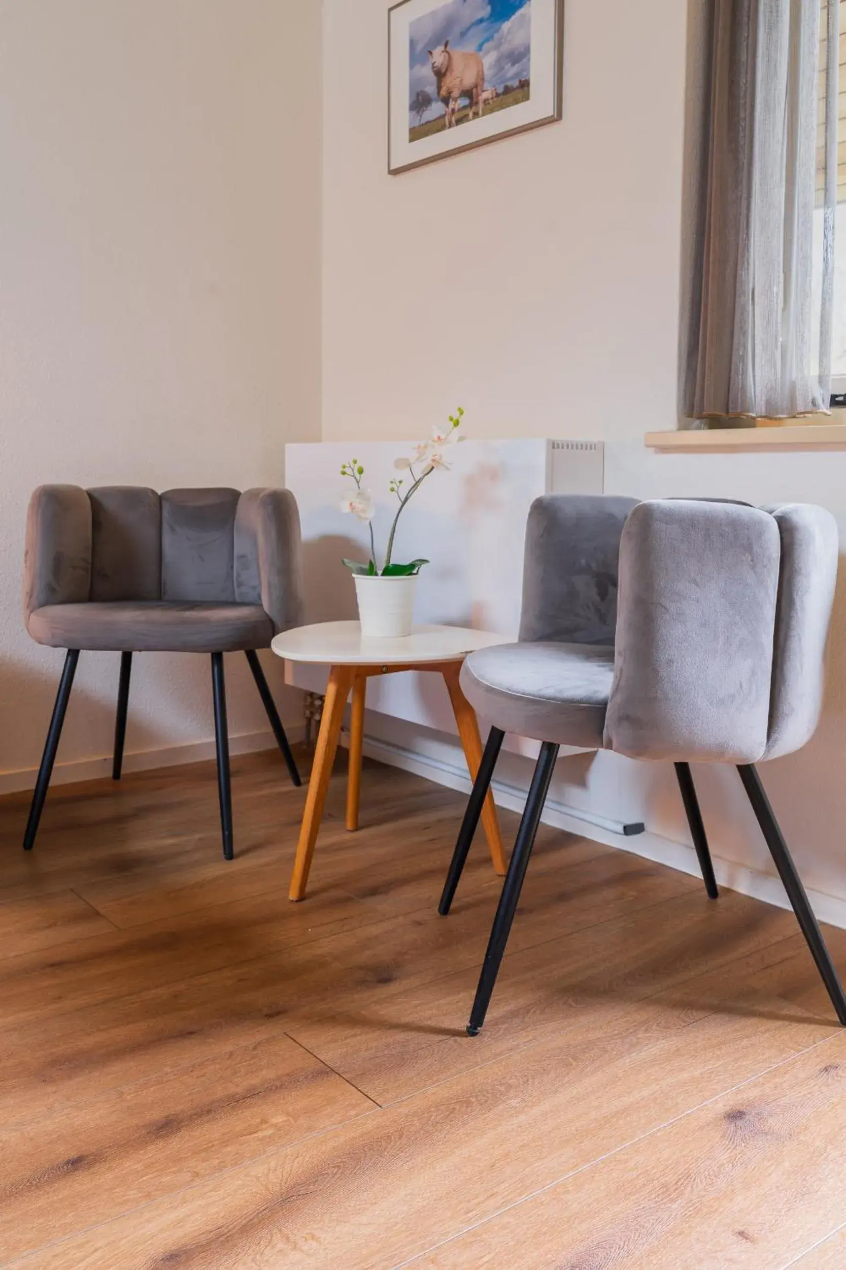 Standard Double Room - single occupancy in Landhotel Diever Standard Double Room - single occupancy in Landhotel Diever