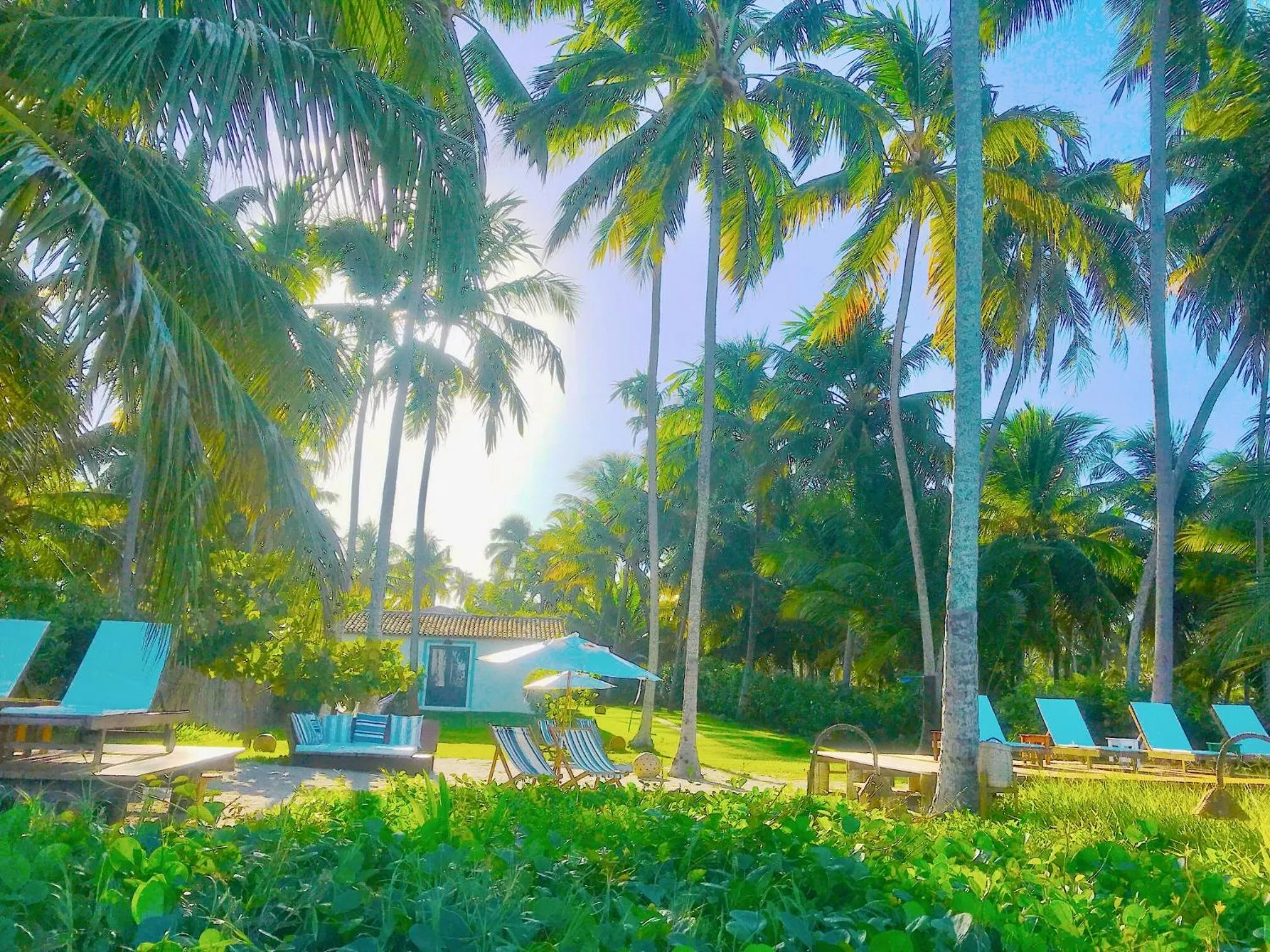 Garden in Pousada Xuê
