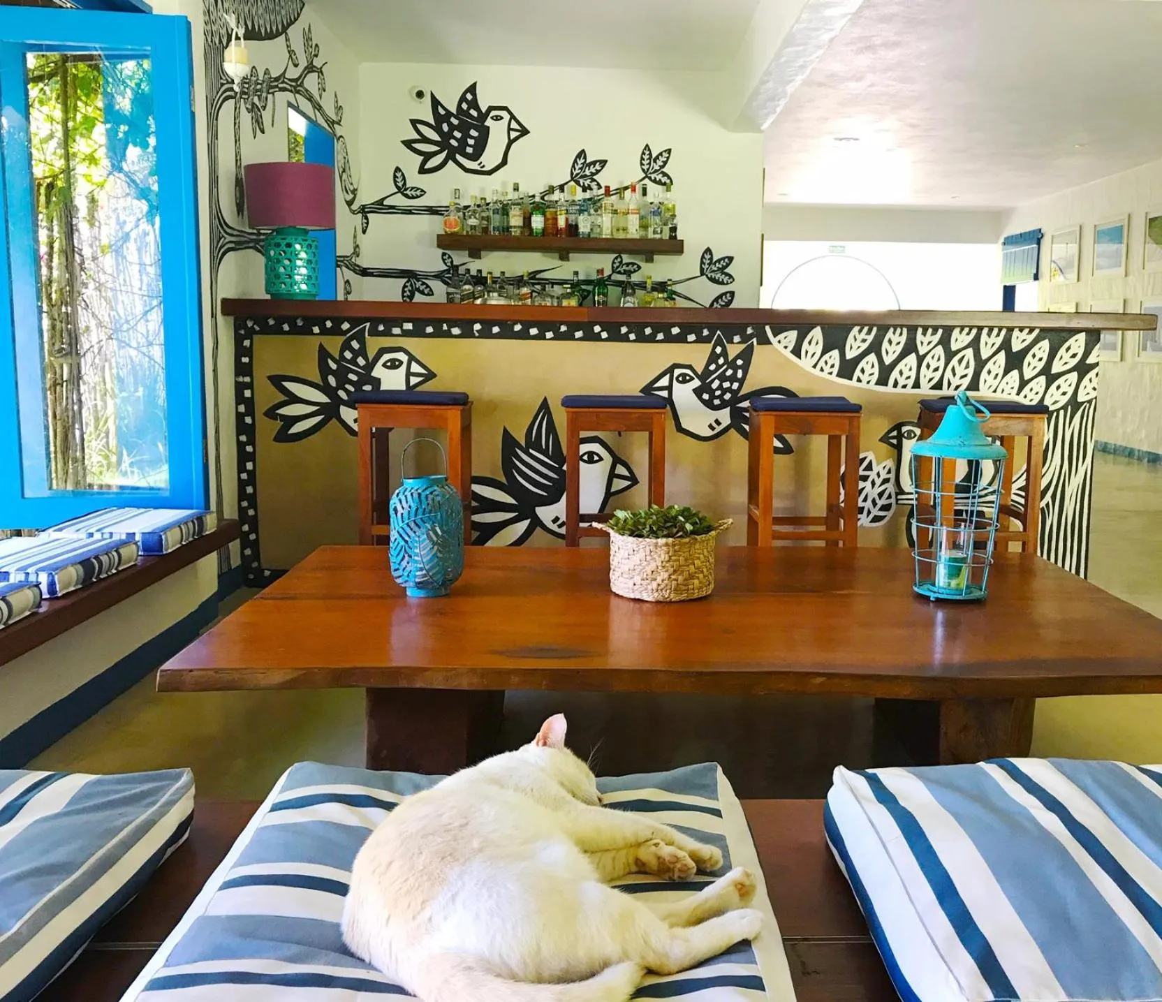 Lounge or bar, Bed in Pousada Xuê