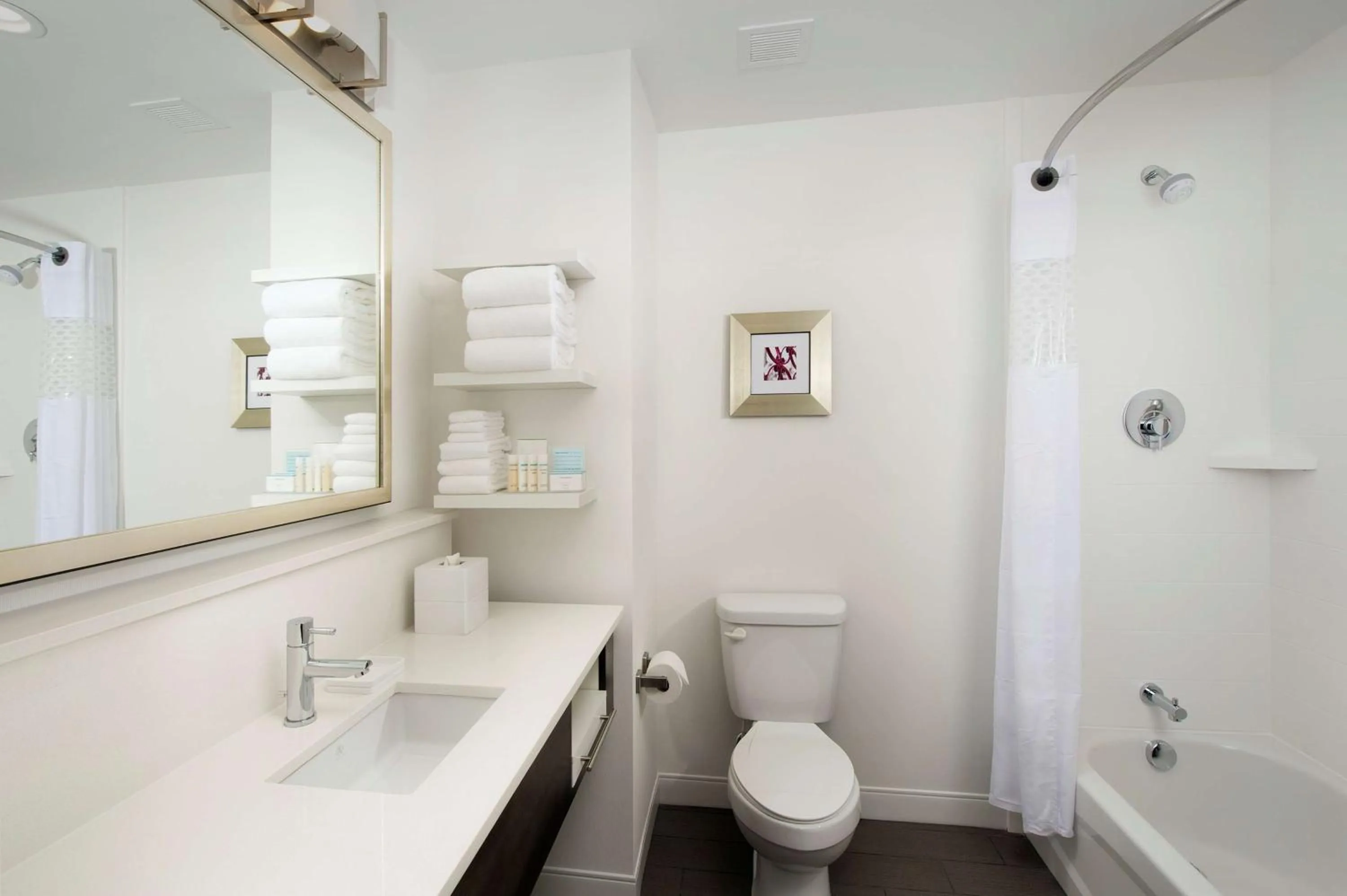 Bathroom in Hampton Inn Huntsville/Village of Providence, AL