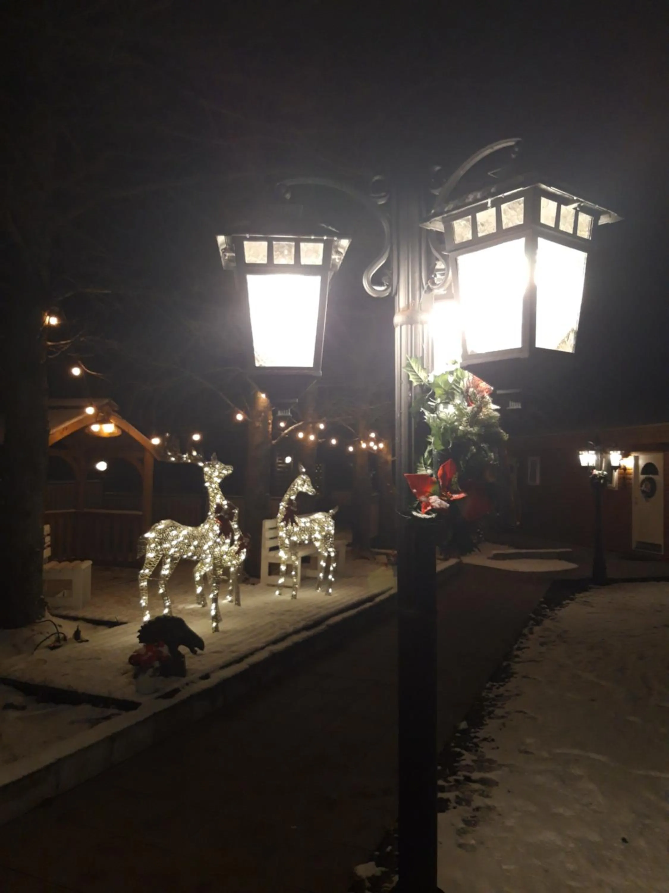 Country Dream - Langholt 2