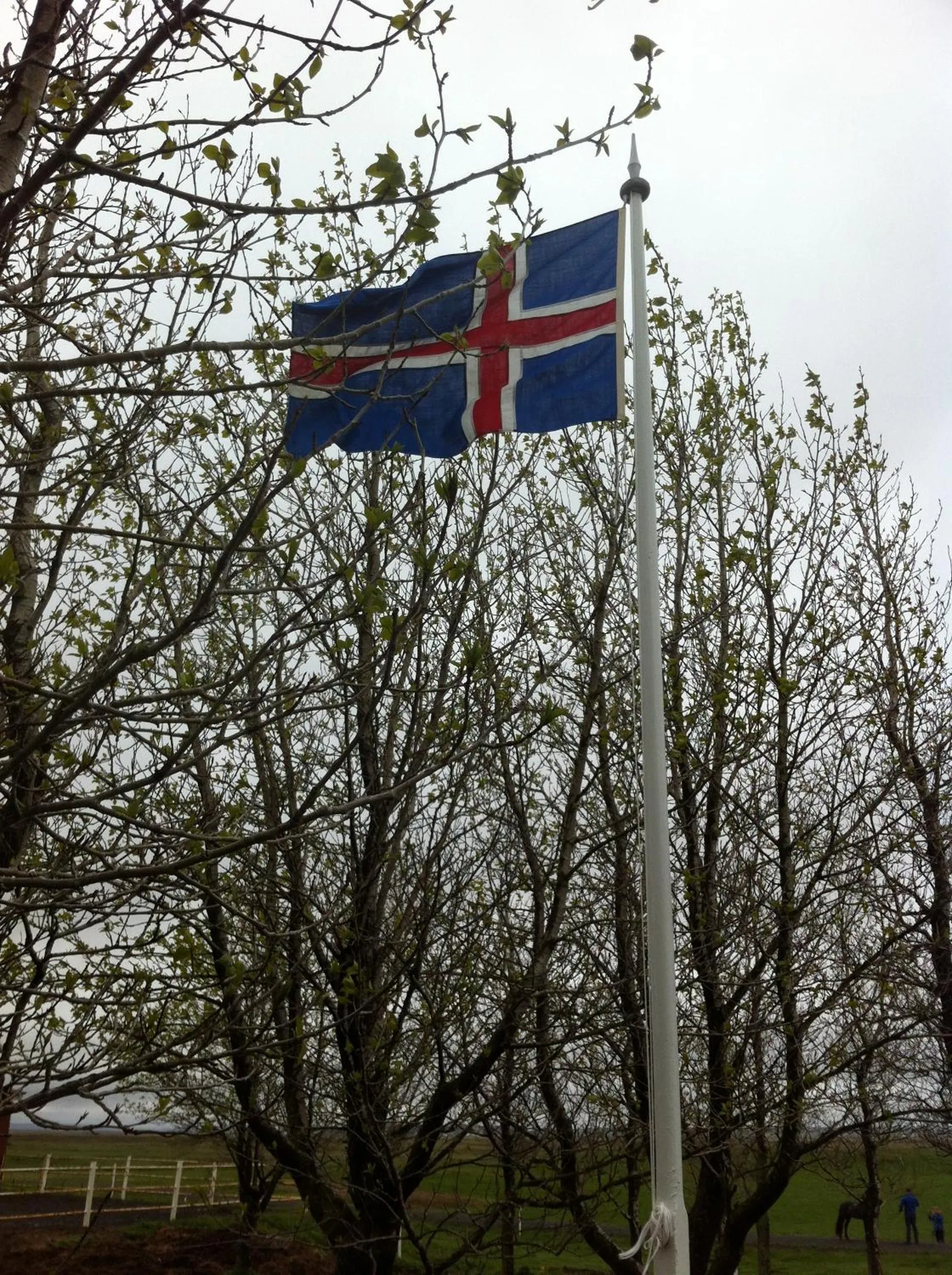 Country Dream - Langholt 2