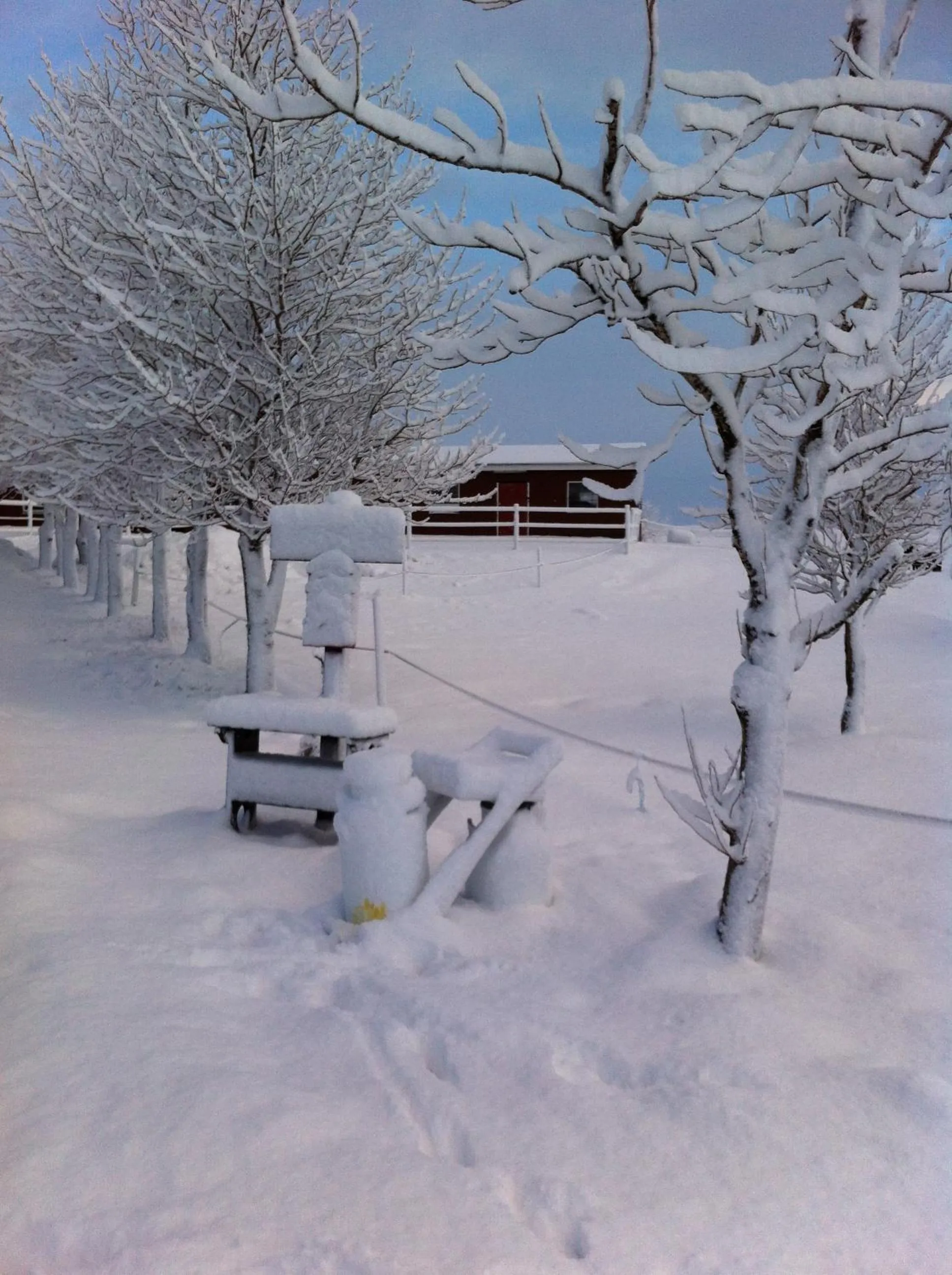 Country Dream - Langholt 2