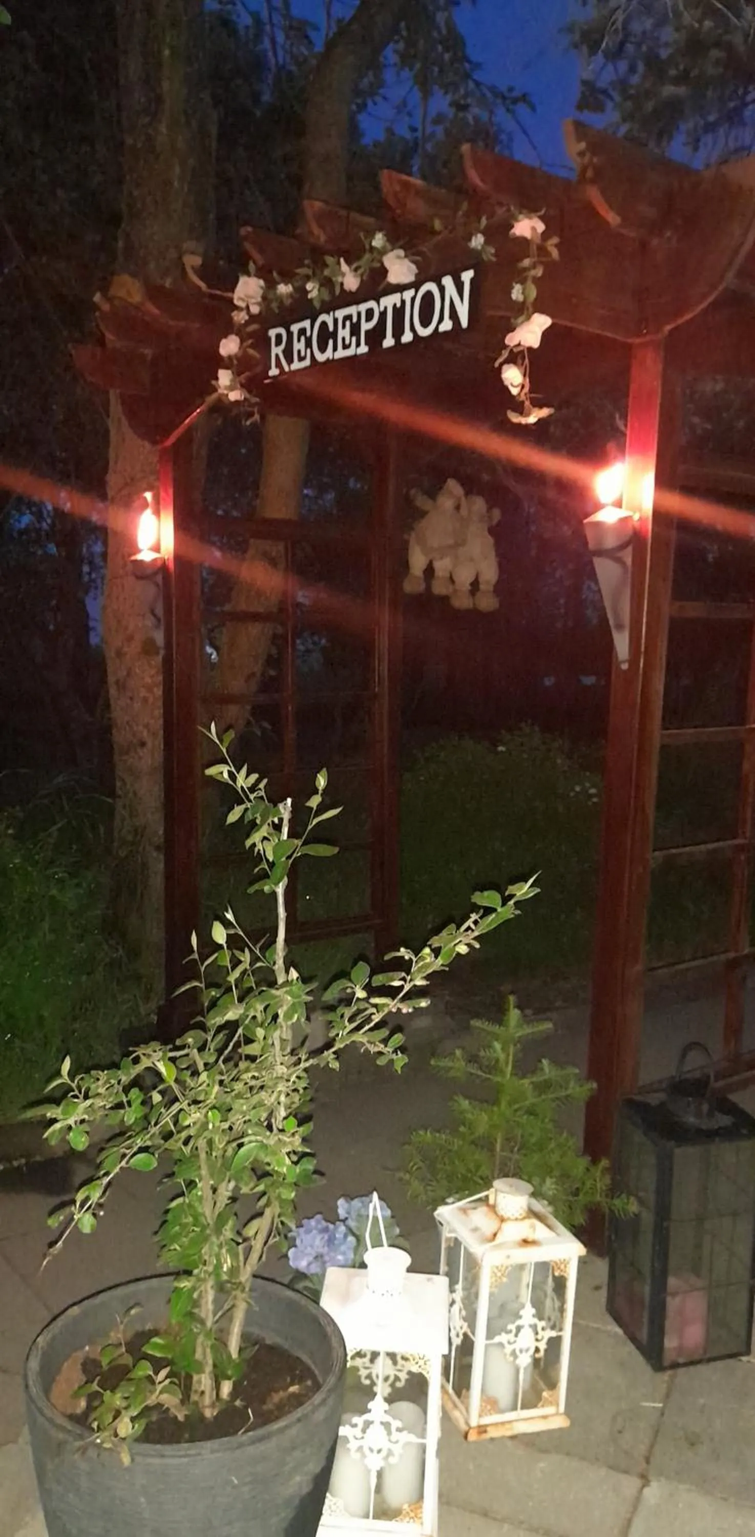 Country Dream - Langholt 2