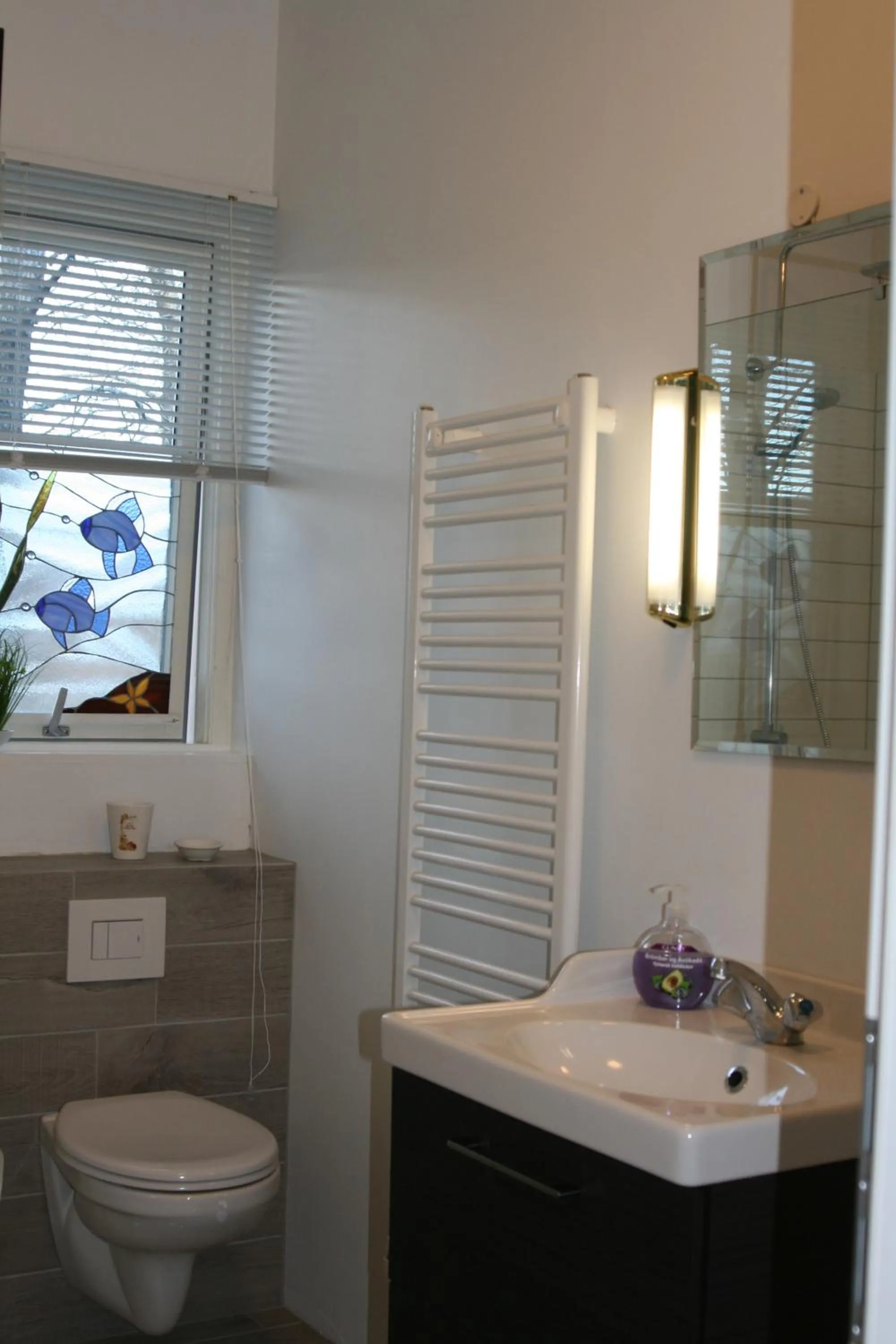 Country Dream - Langholt 2