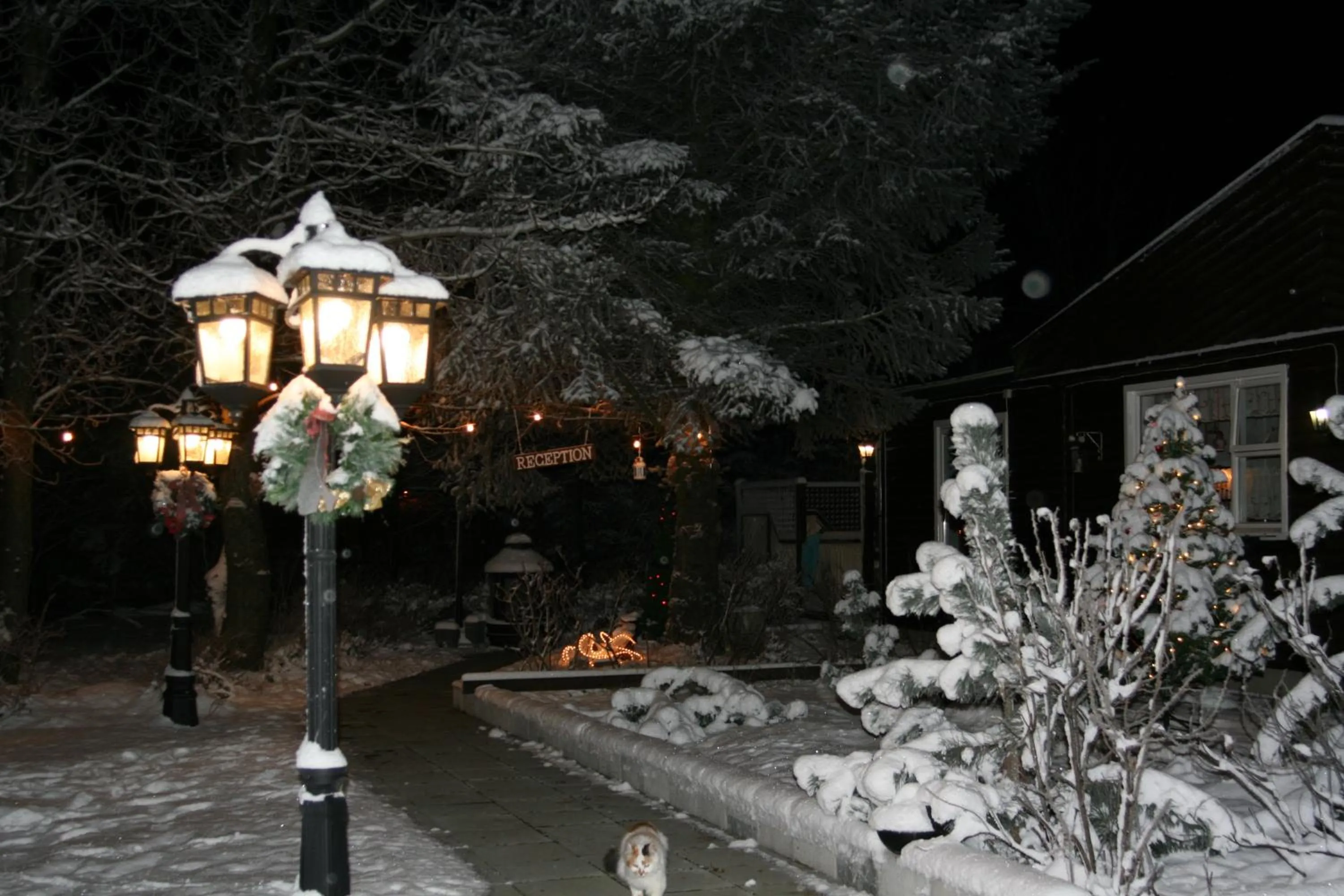 Country Dream - Langholt 2