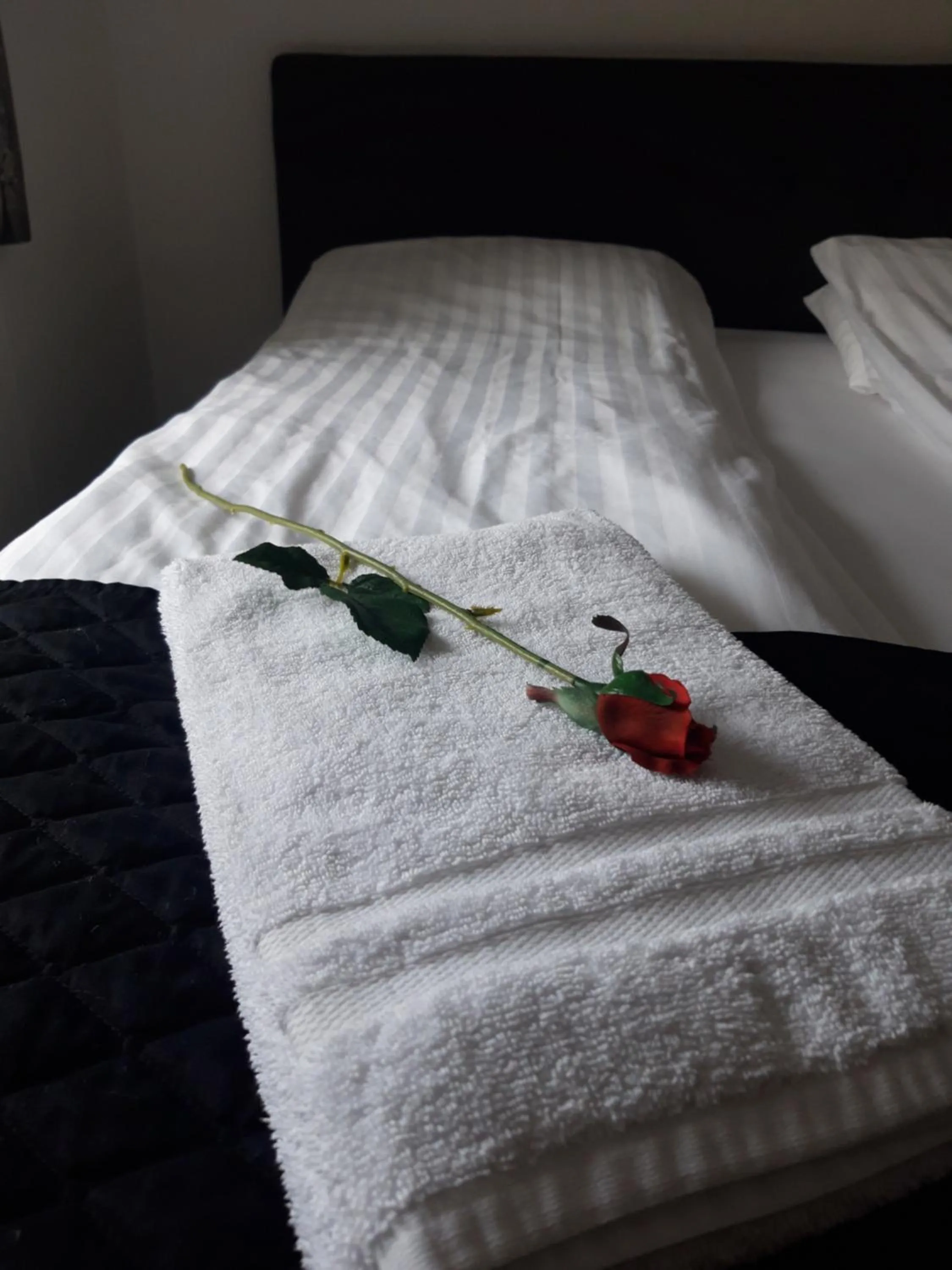 Bed in Country Dream - Langholt 2