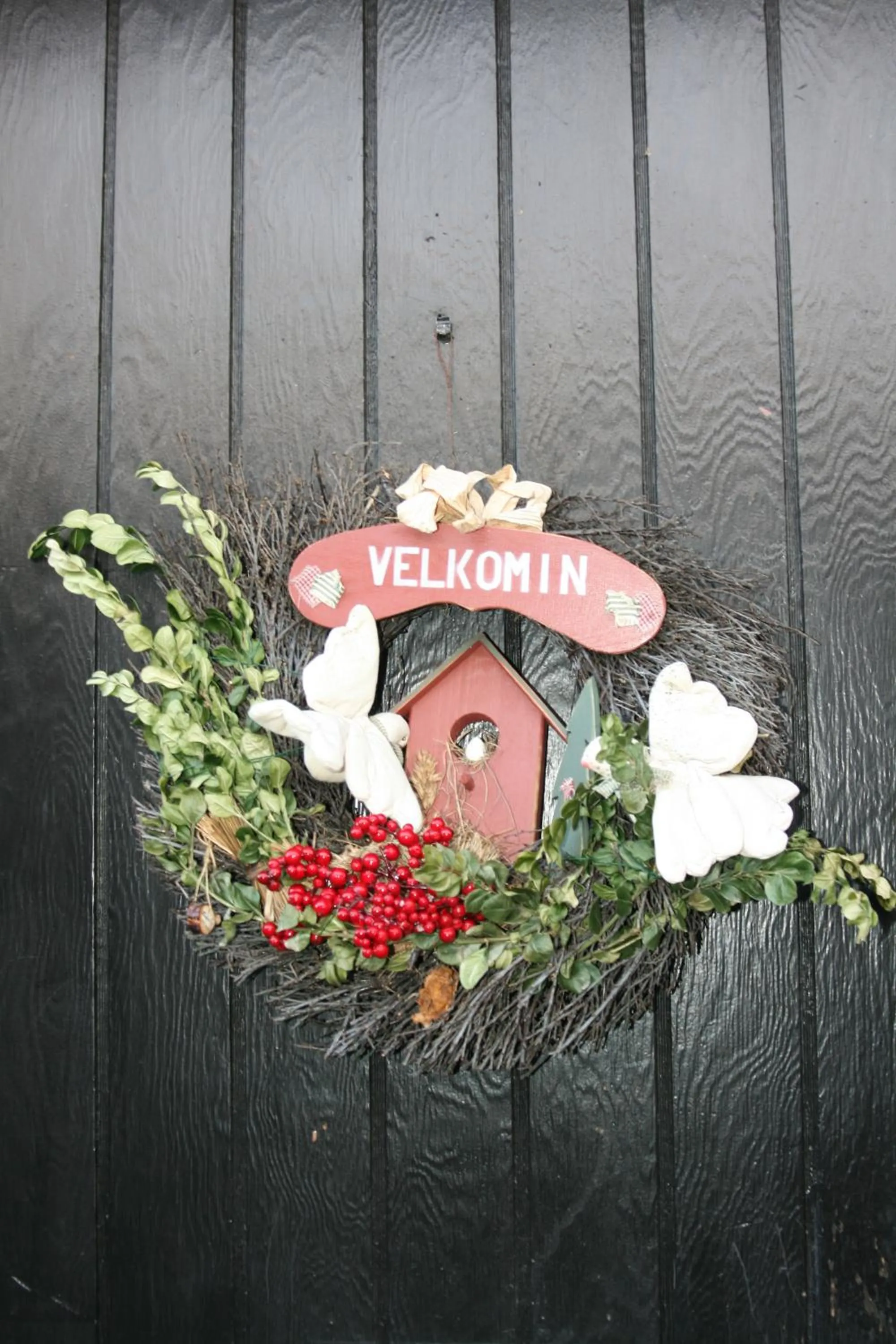 Country Dream - Langholt 2