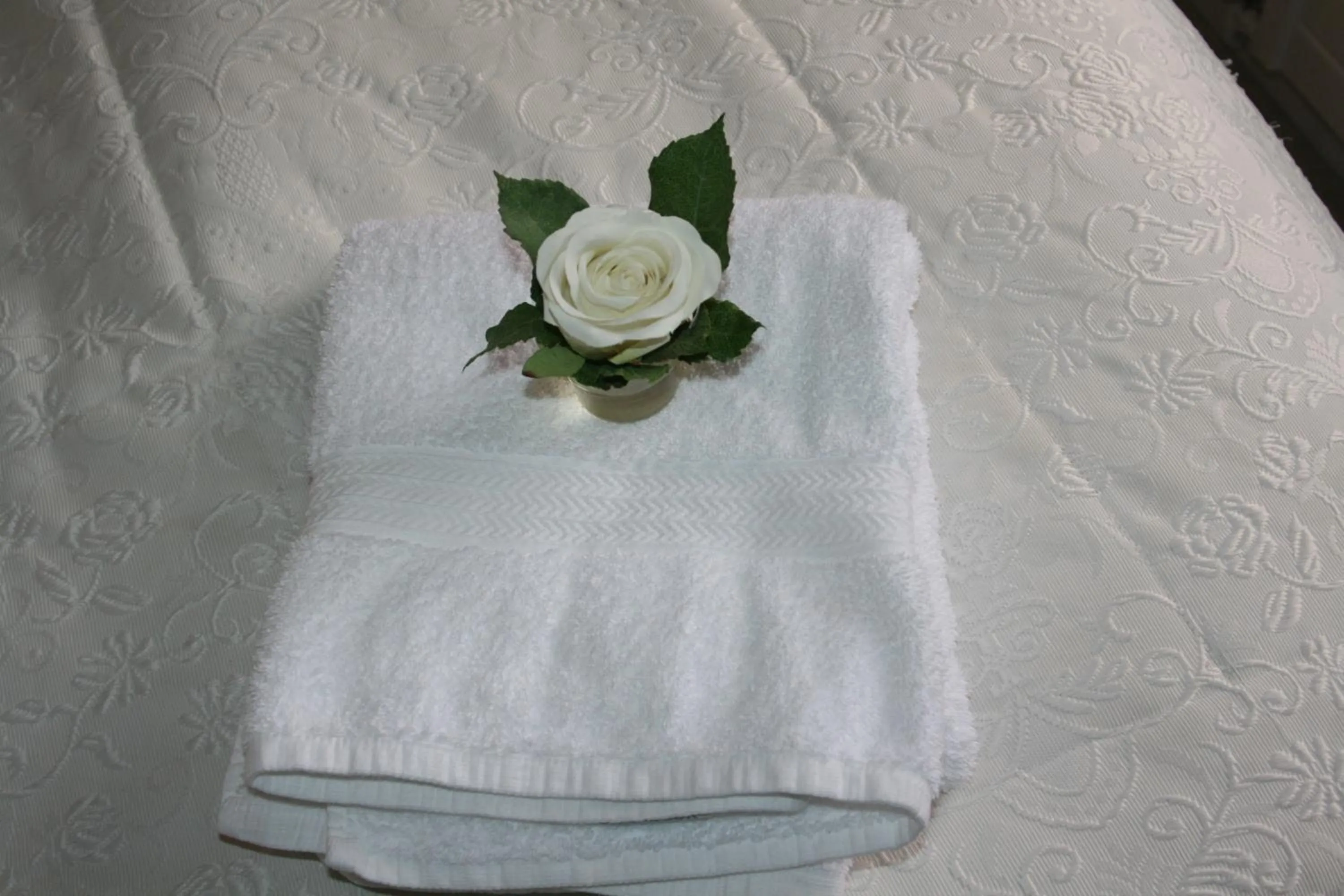 Country Dream - Langholt 2