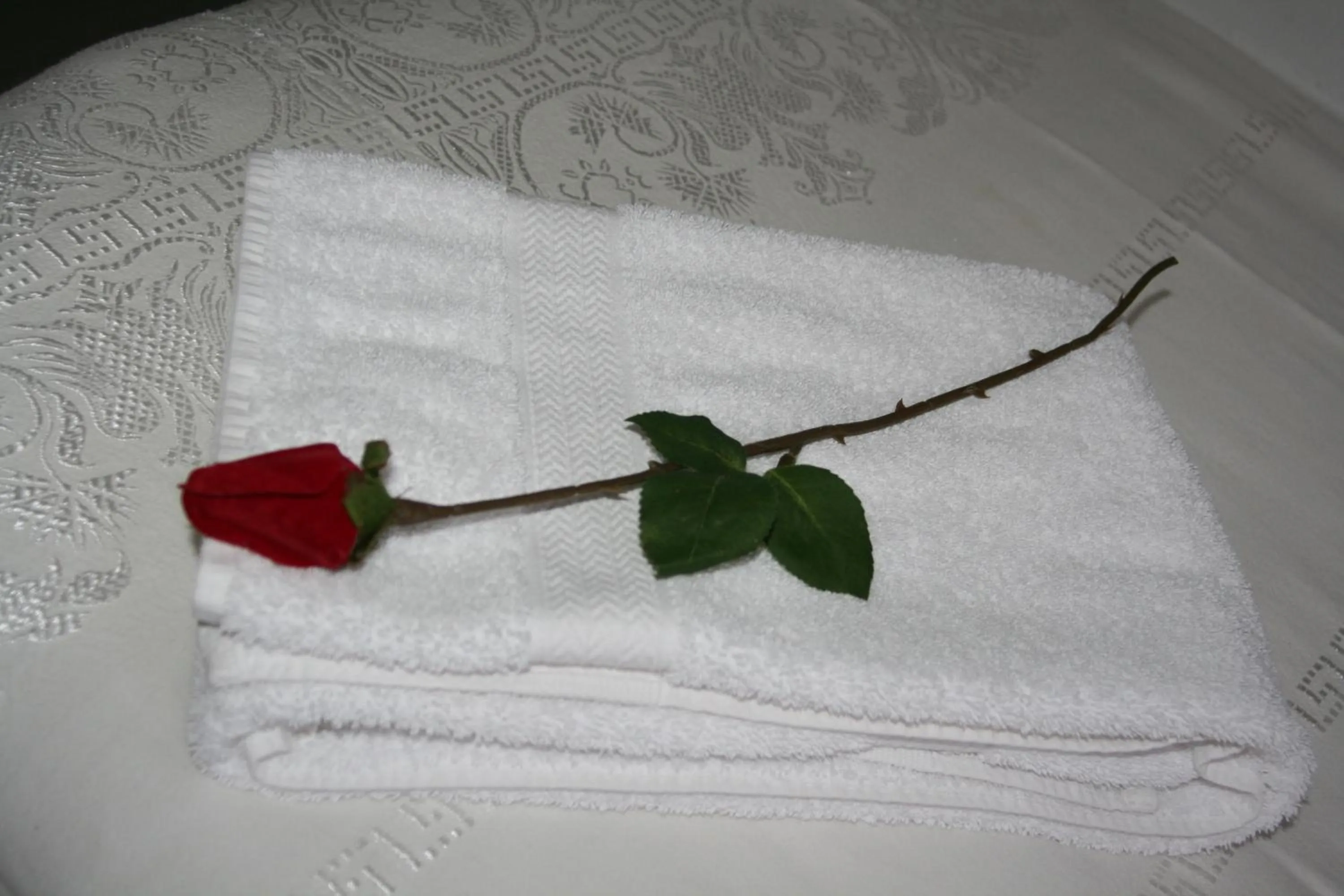 Country Dream - Langholt 2