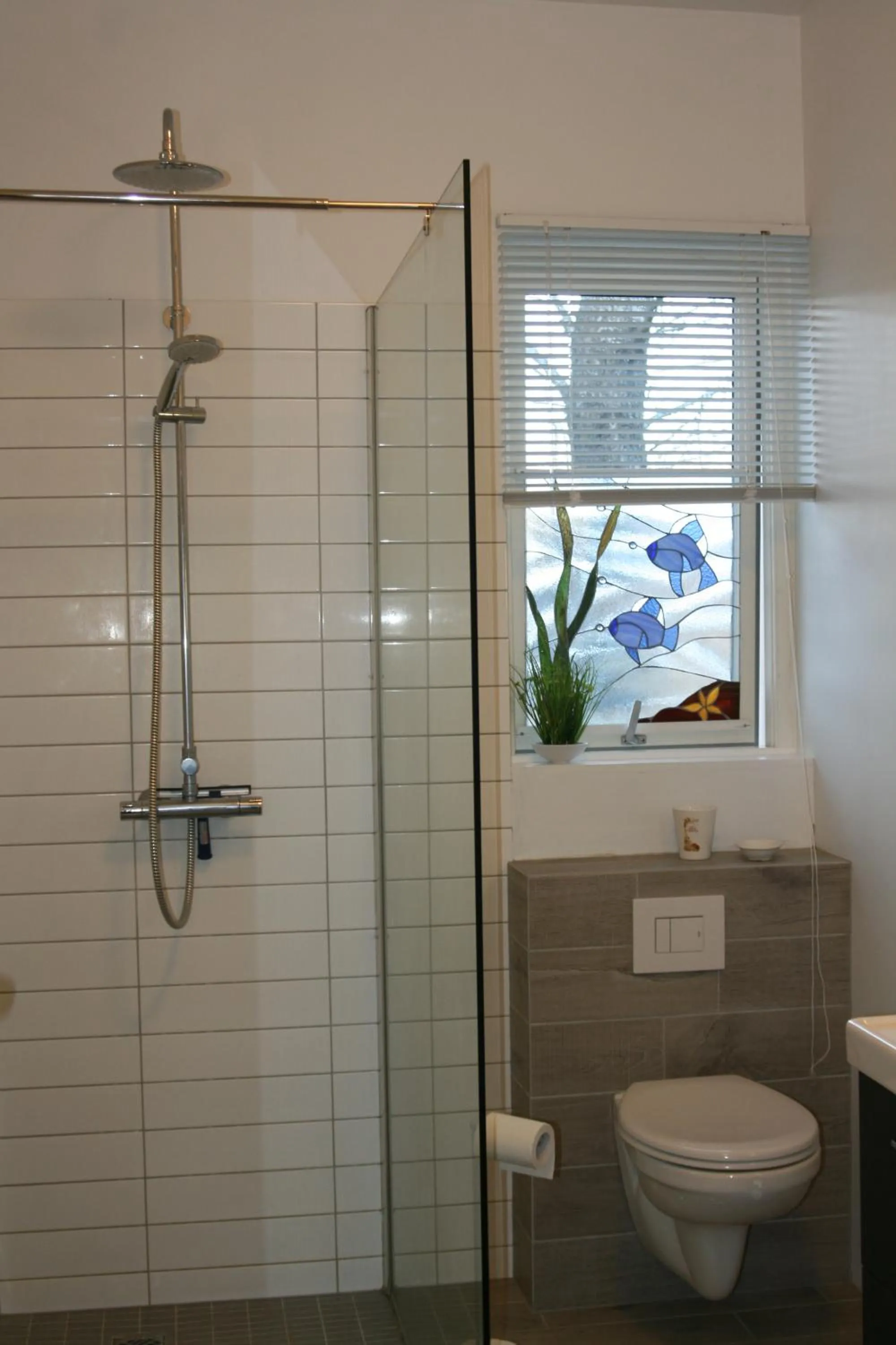 Country Dream - Langholt 2