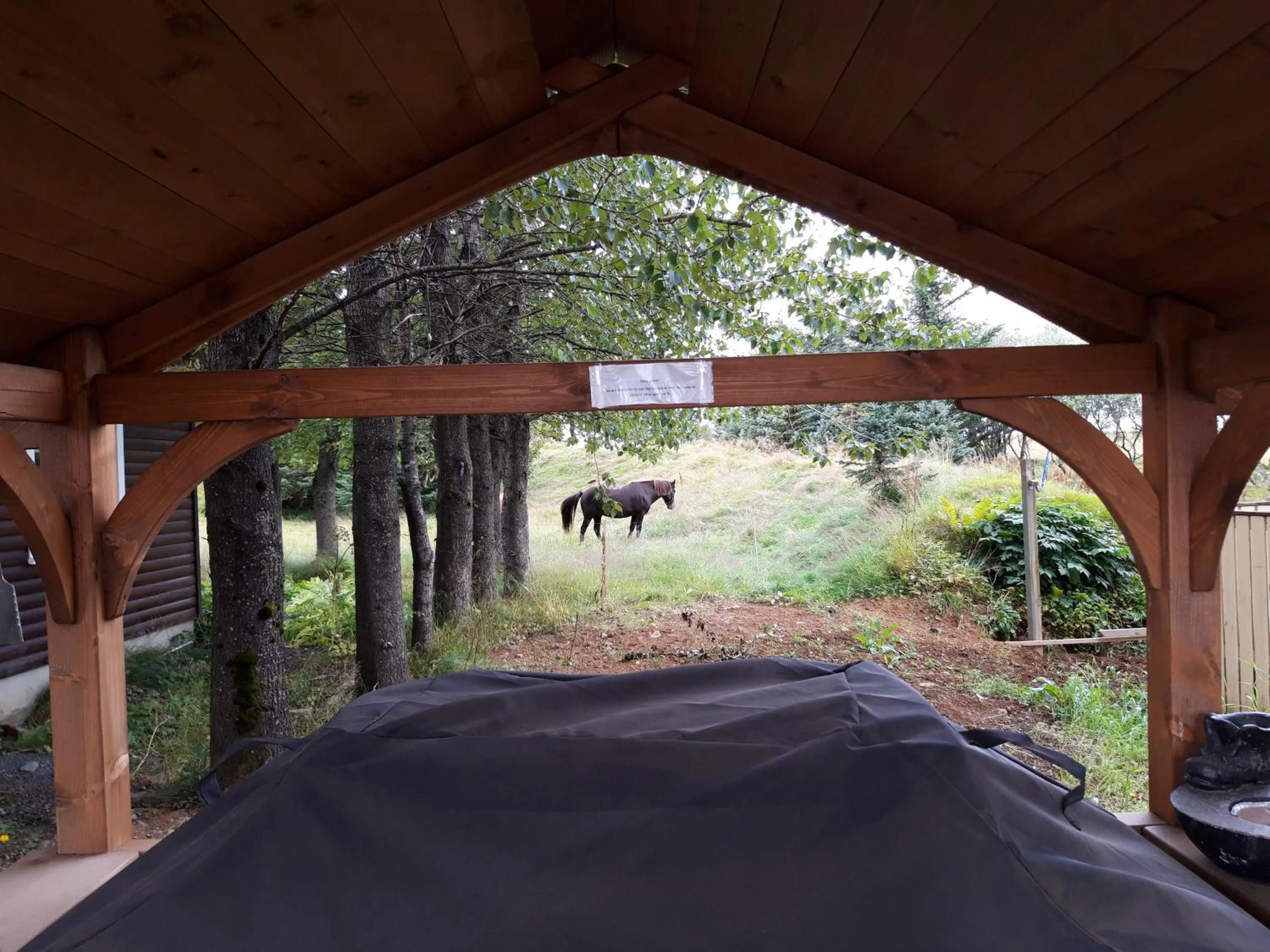 Country Dream - Langholt 2