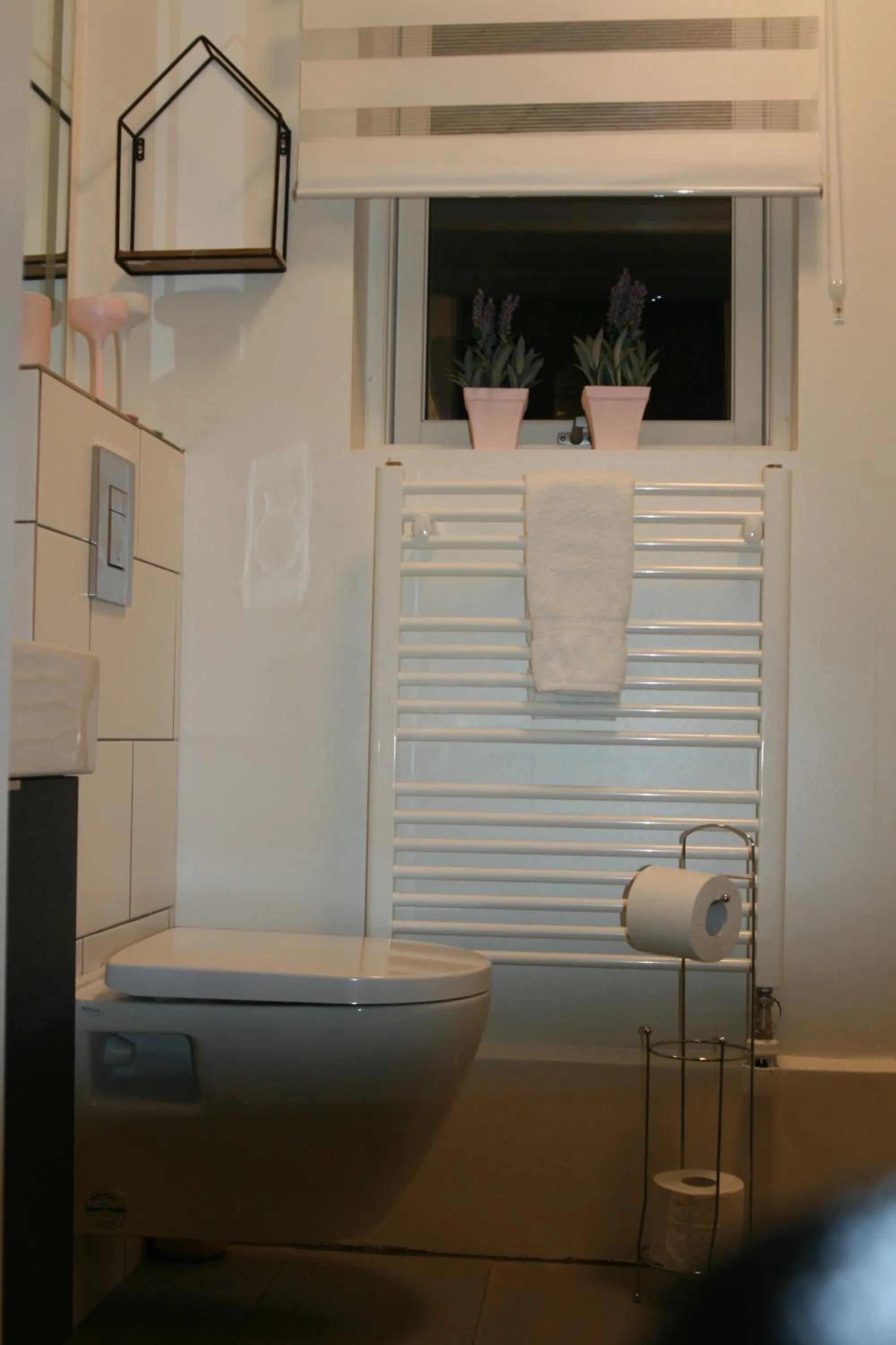 Country Dream - Langholt 2