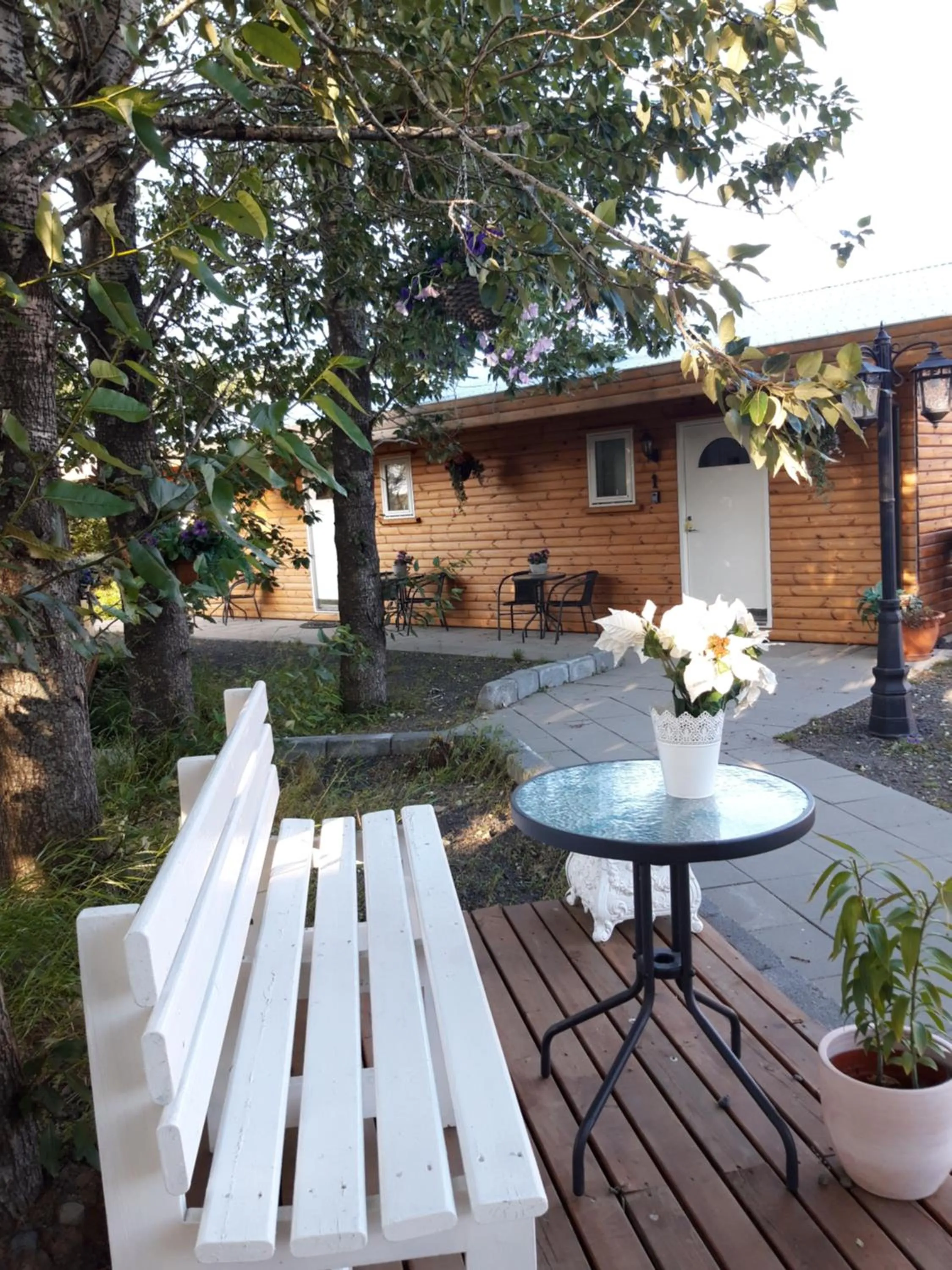 Country Dream - Langholt 2