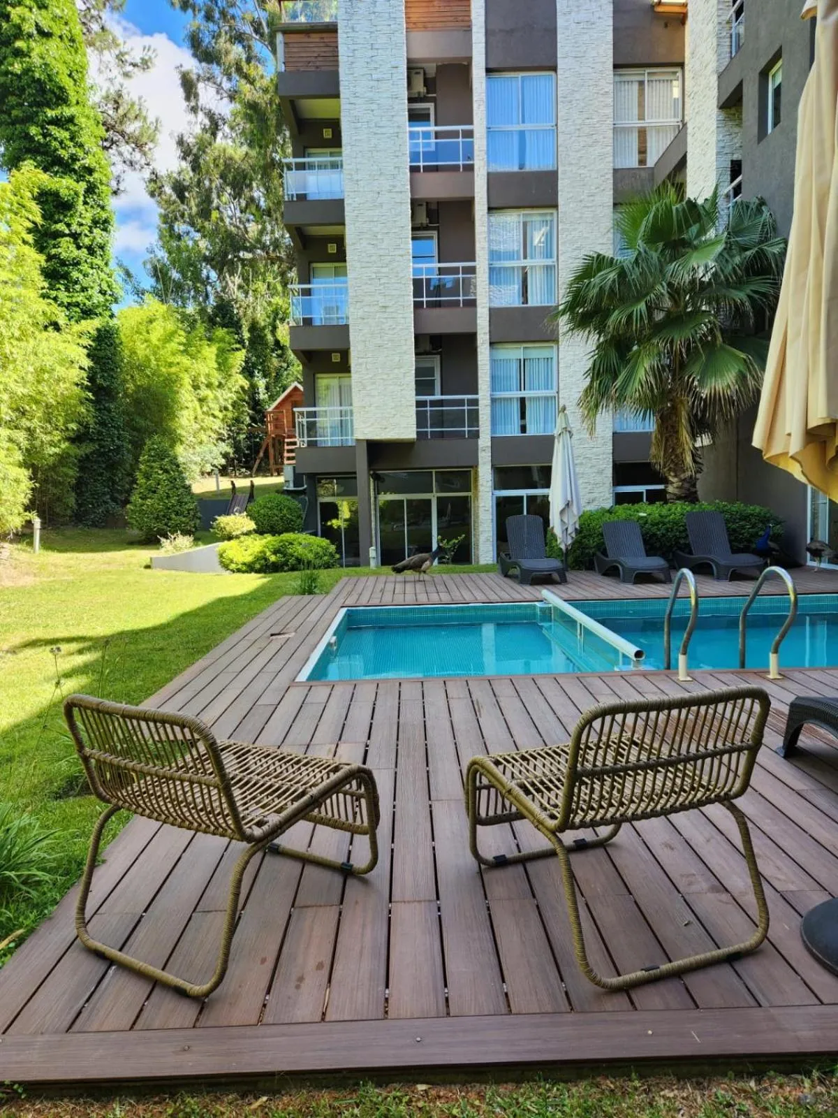 Garden in Suite House Carilo