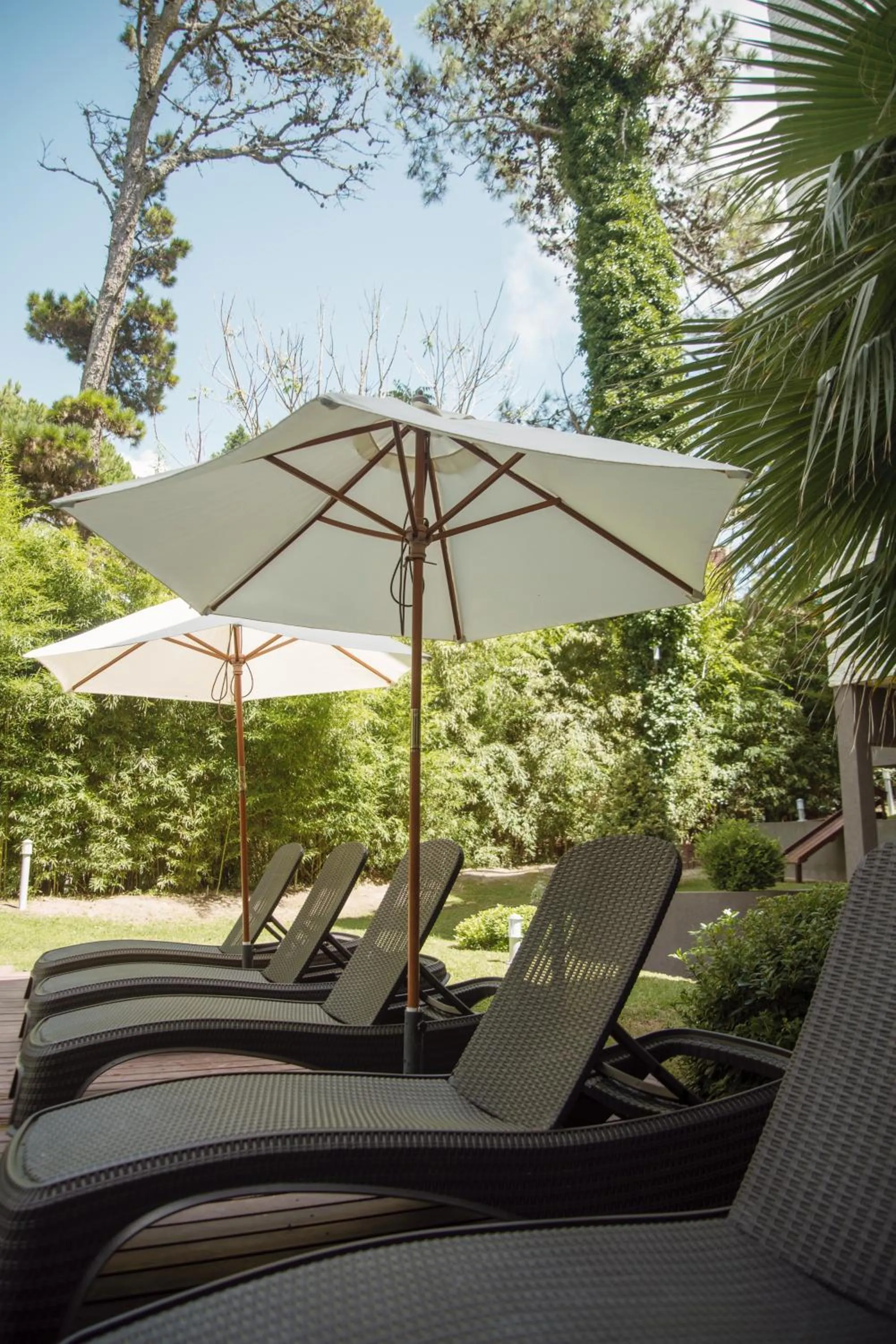 Swimming pool in Suite House Carilo