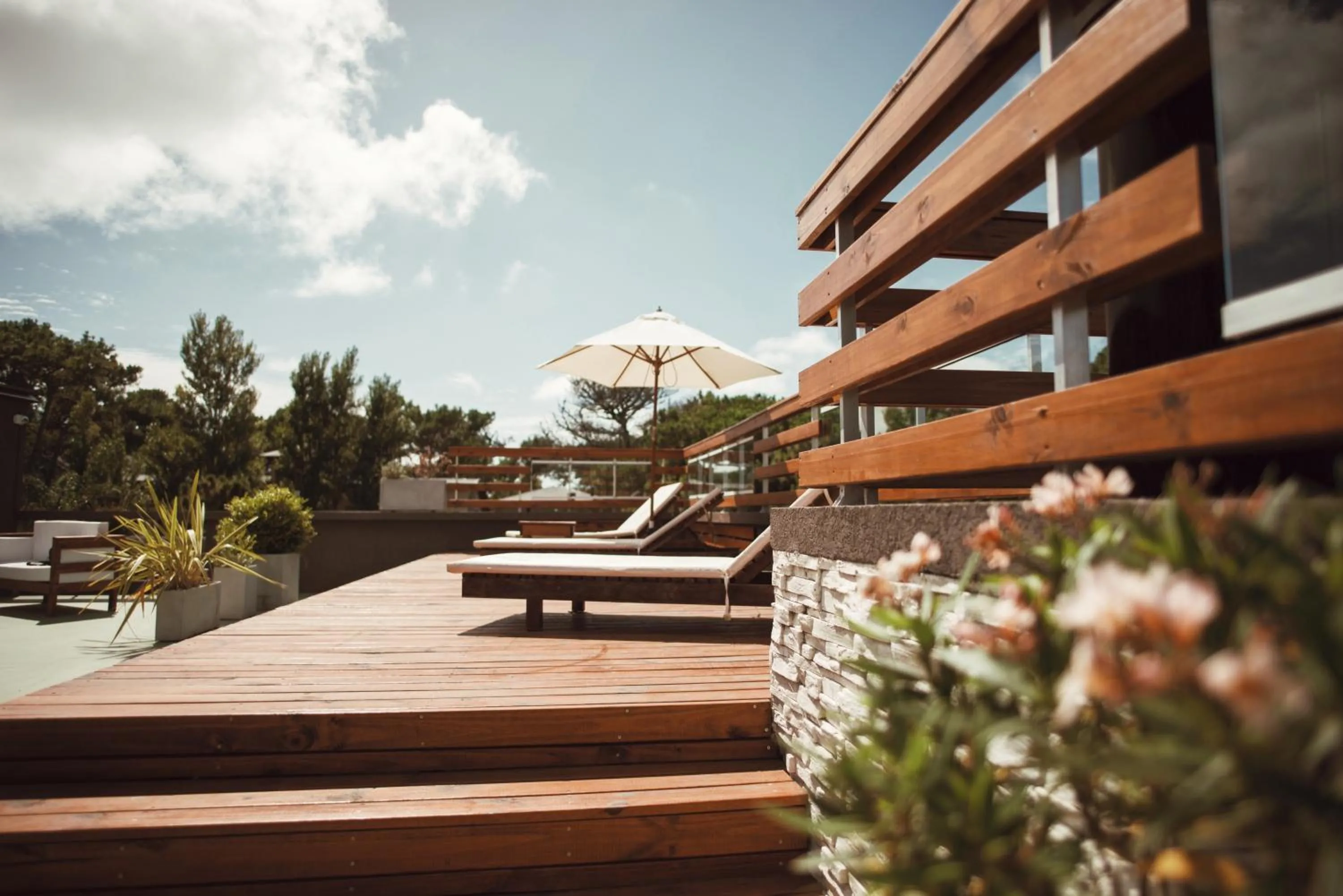 Balcony/Terrace in Suite House Carilo