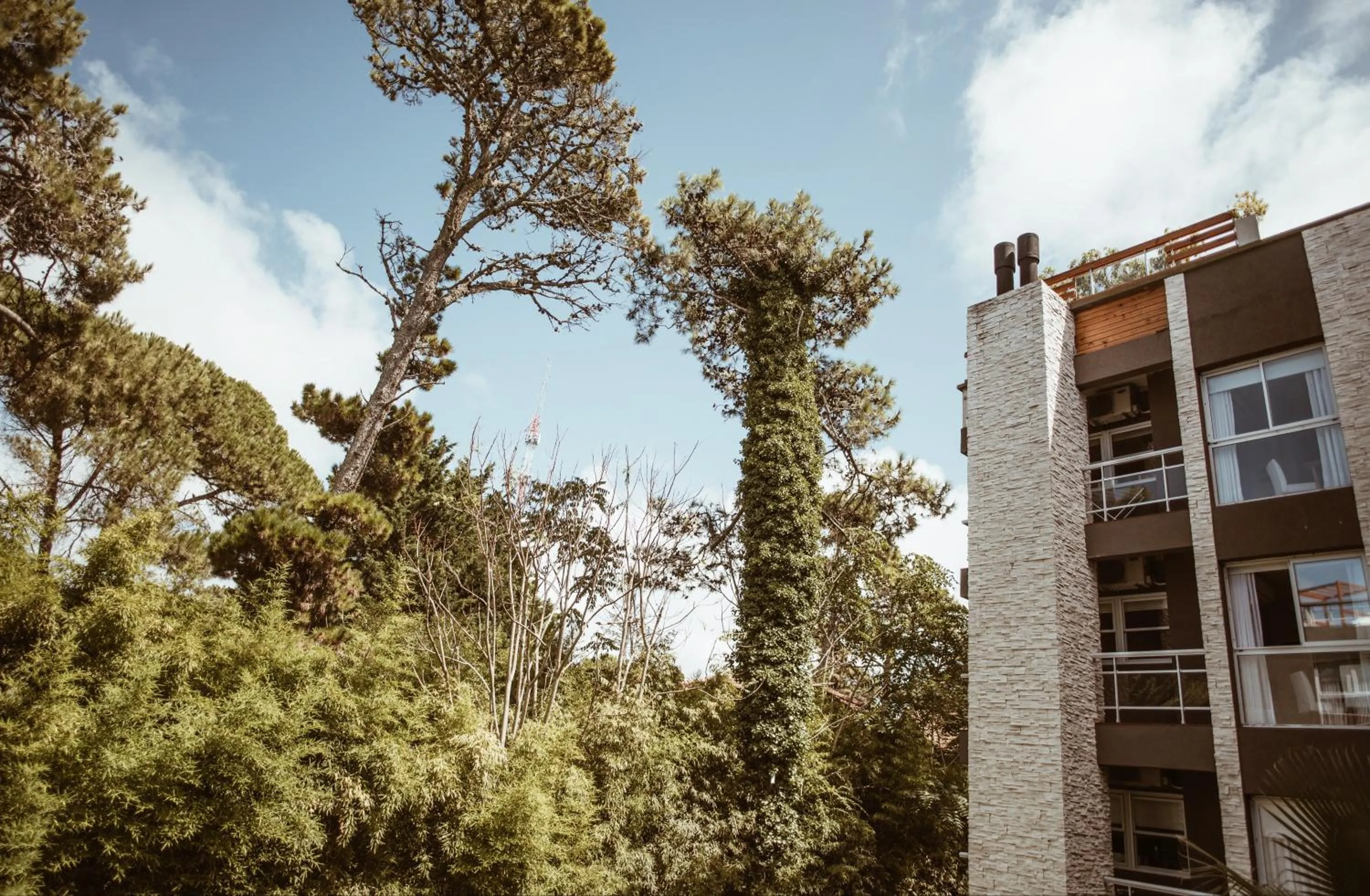 View (from property/room) in Suite House Carilo