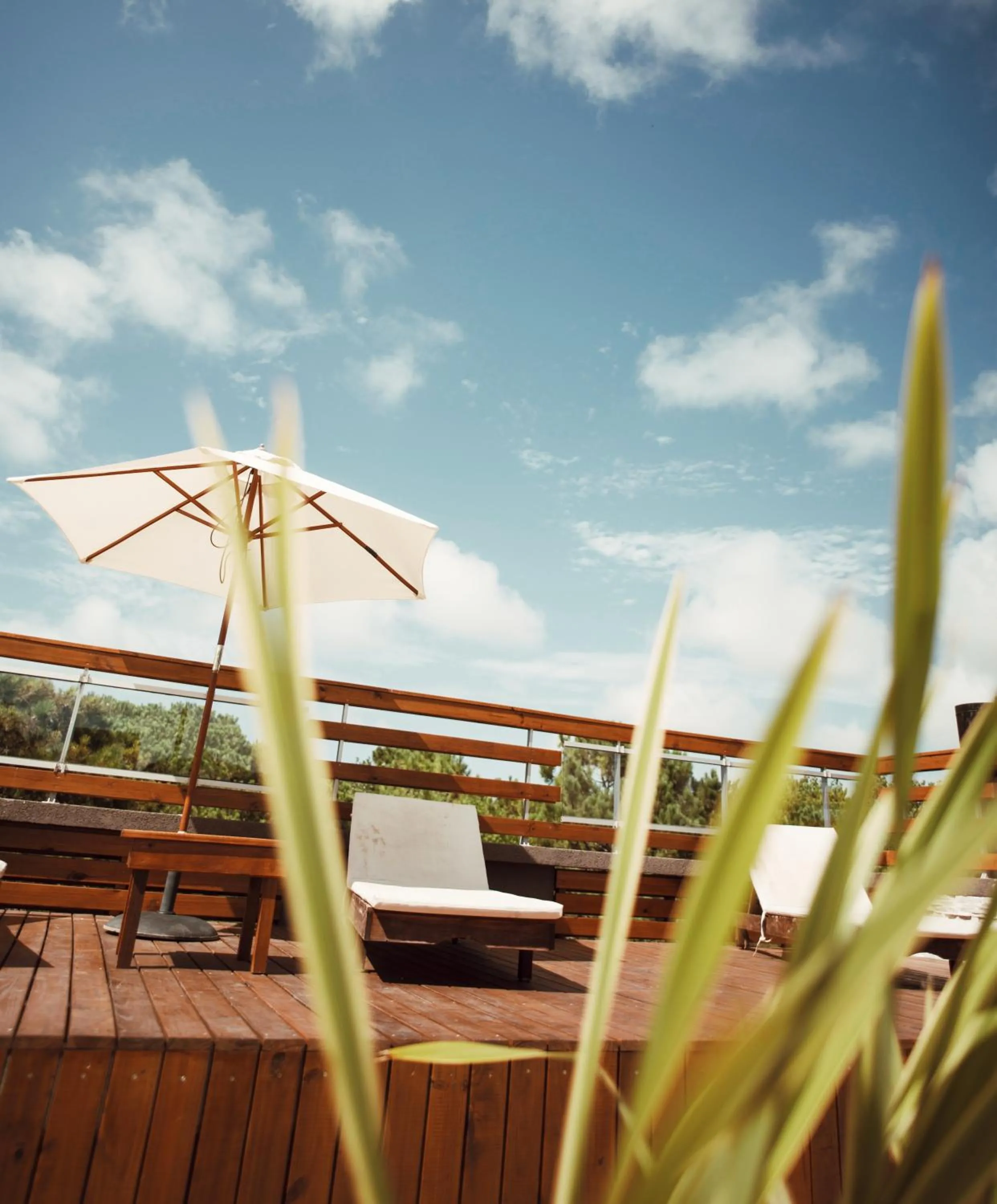 Balcony/Terrace in Suite House Carilo