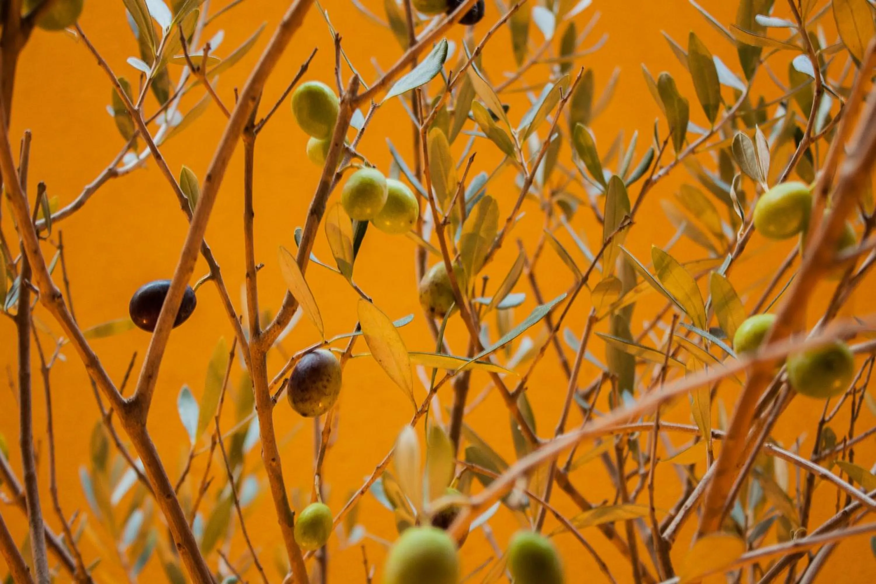 Other in L'Adresse Hôtel Boutique