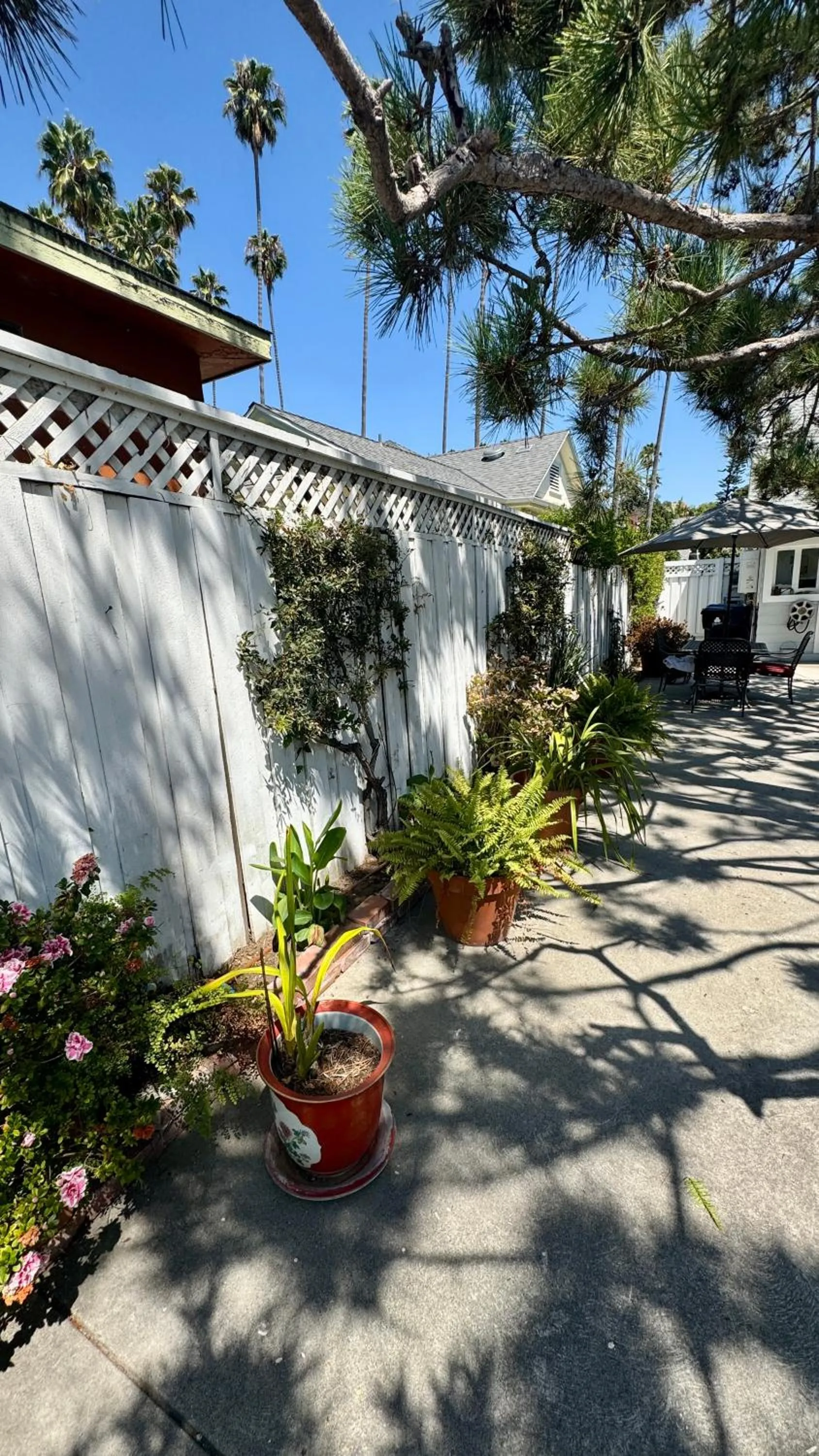 Patio in Dresden B & B