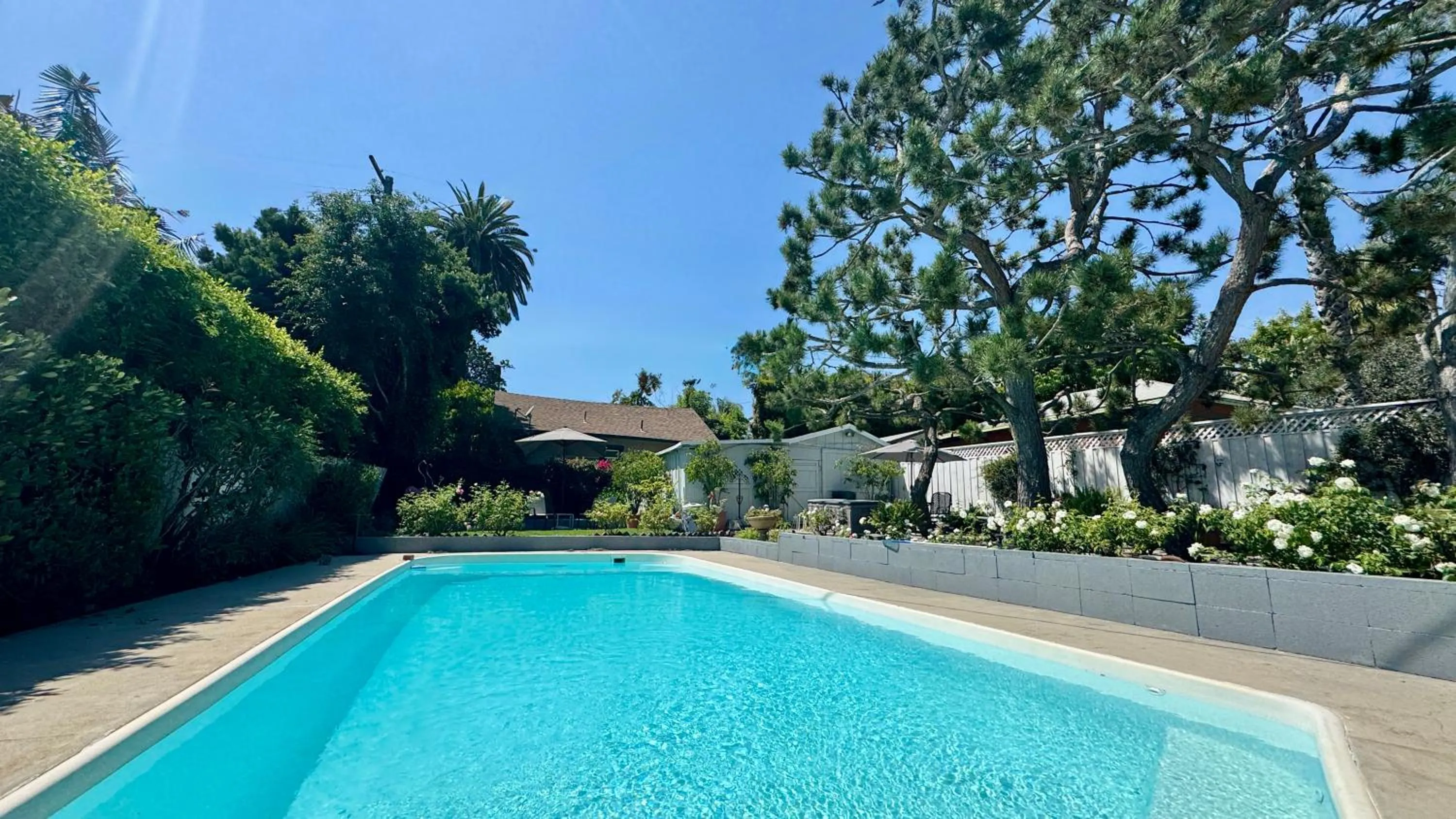Pool view in Dresden B & B