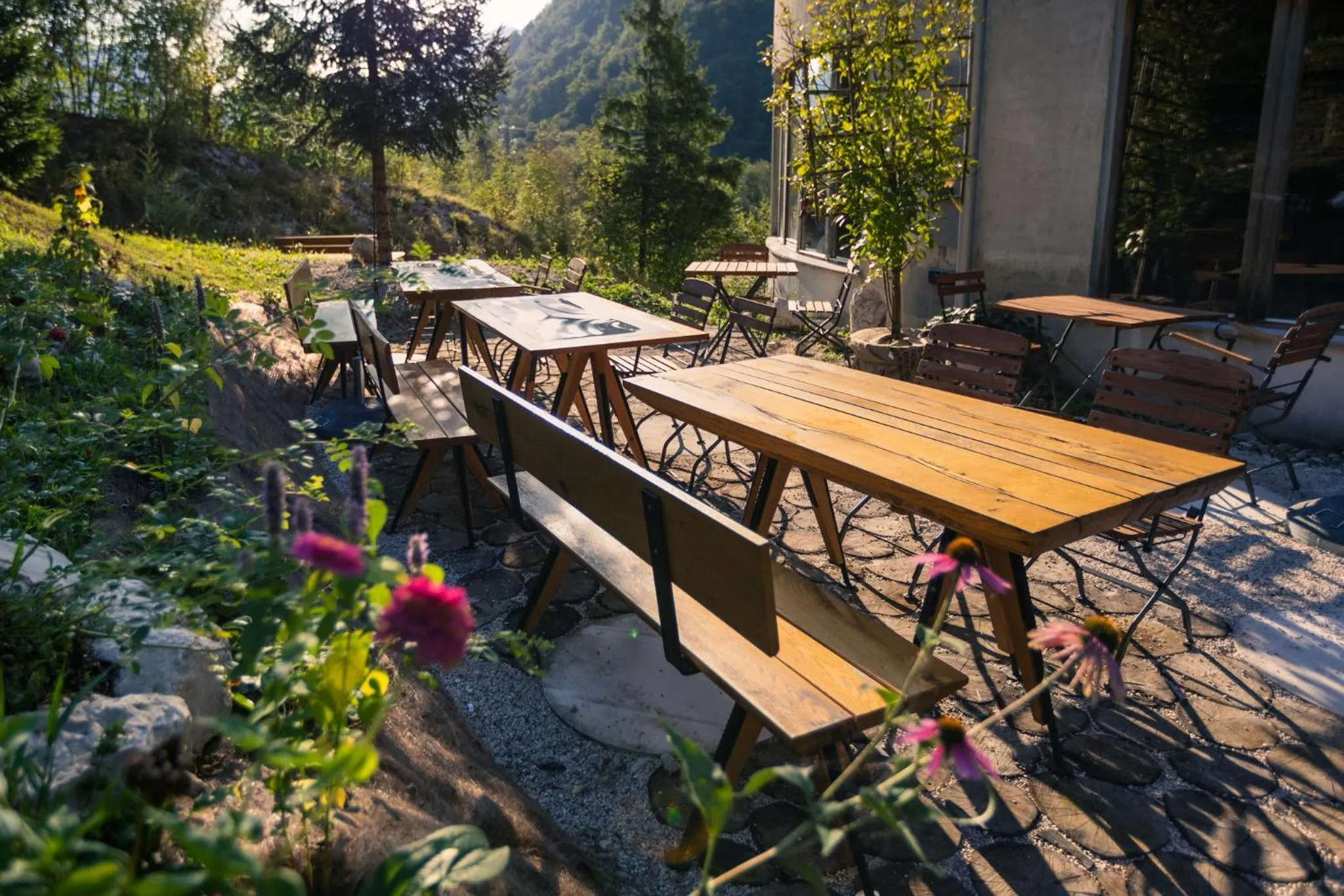 Area and facilities in Hotel Boka