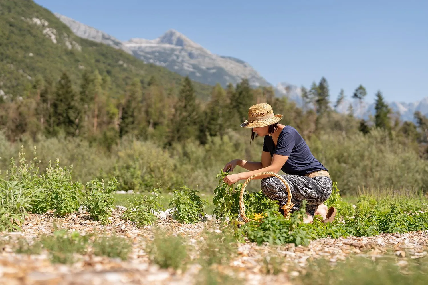 Garden view in Hotel Boka