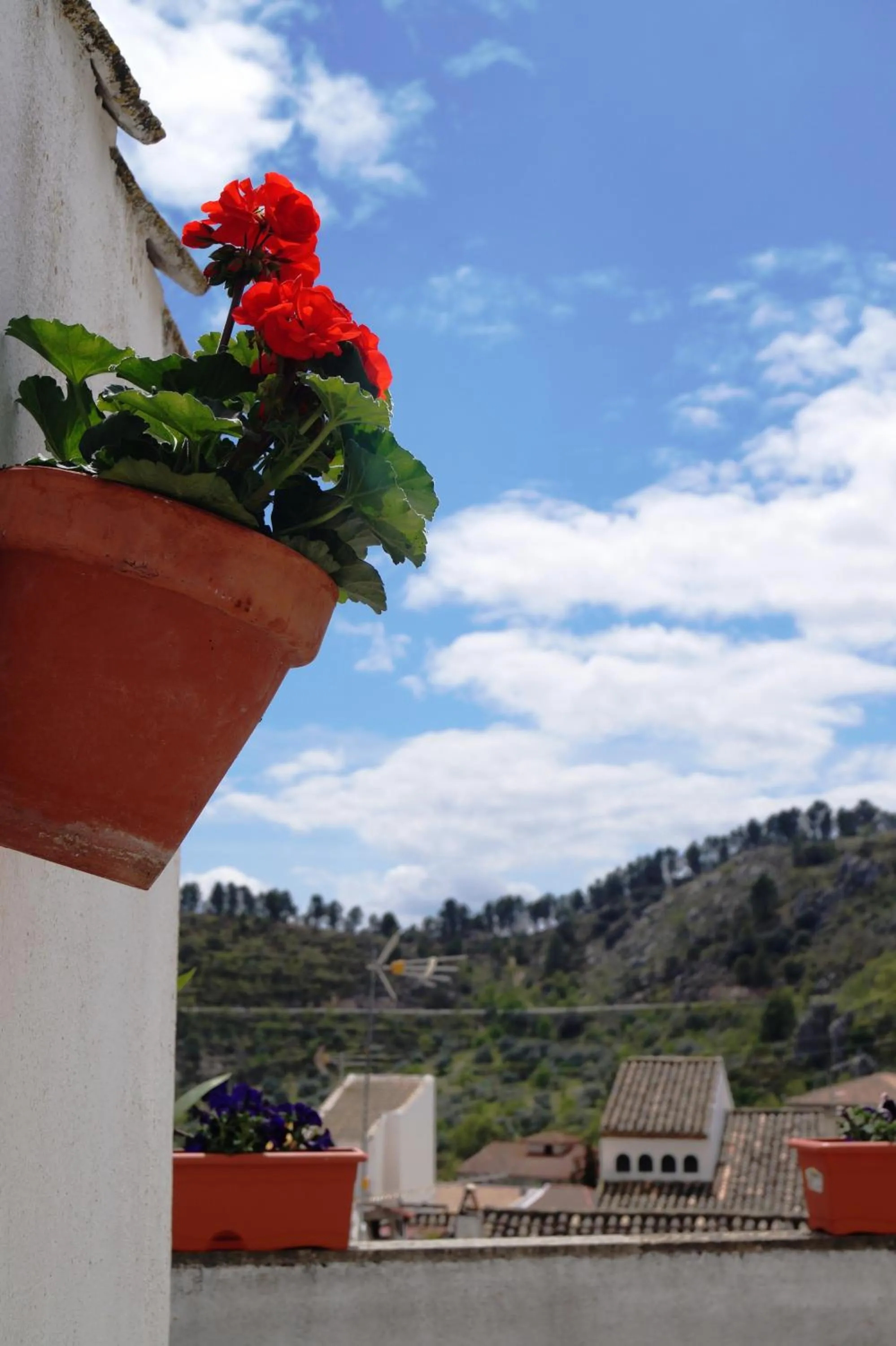Balcony/Terrace in Casa de la Placeta del Rincón