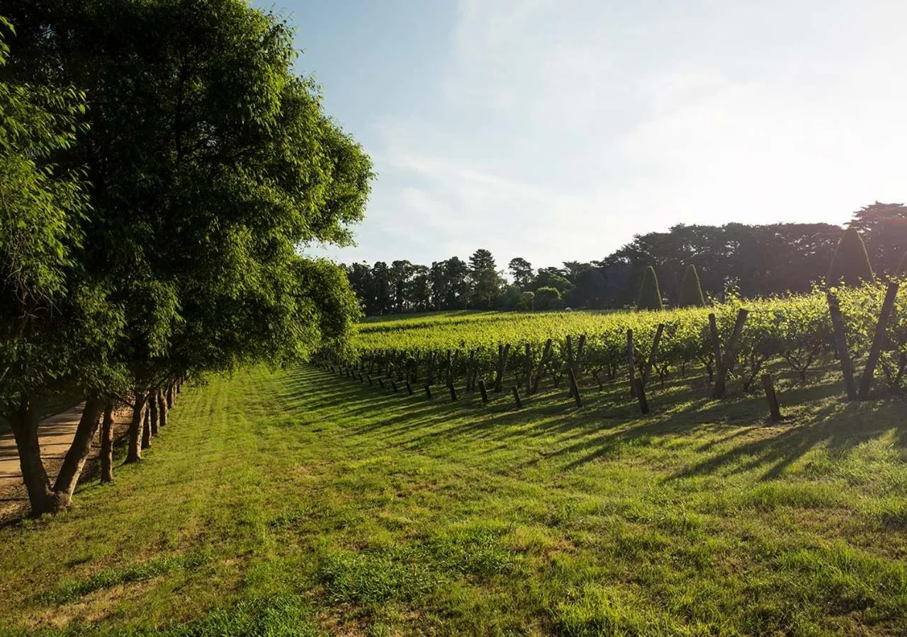 Natural landscape in Lancemore Lindenderry Red Hill