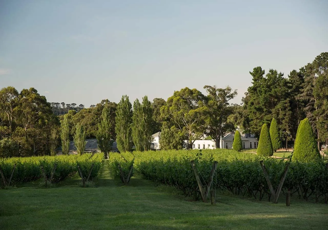 Natural landscape in Lancemore Lindenderry Red Hill