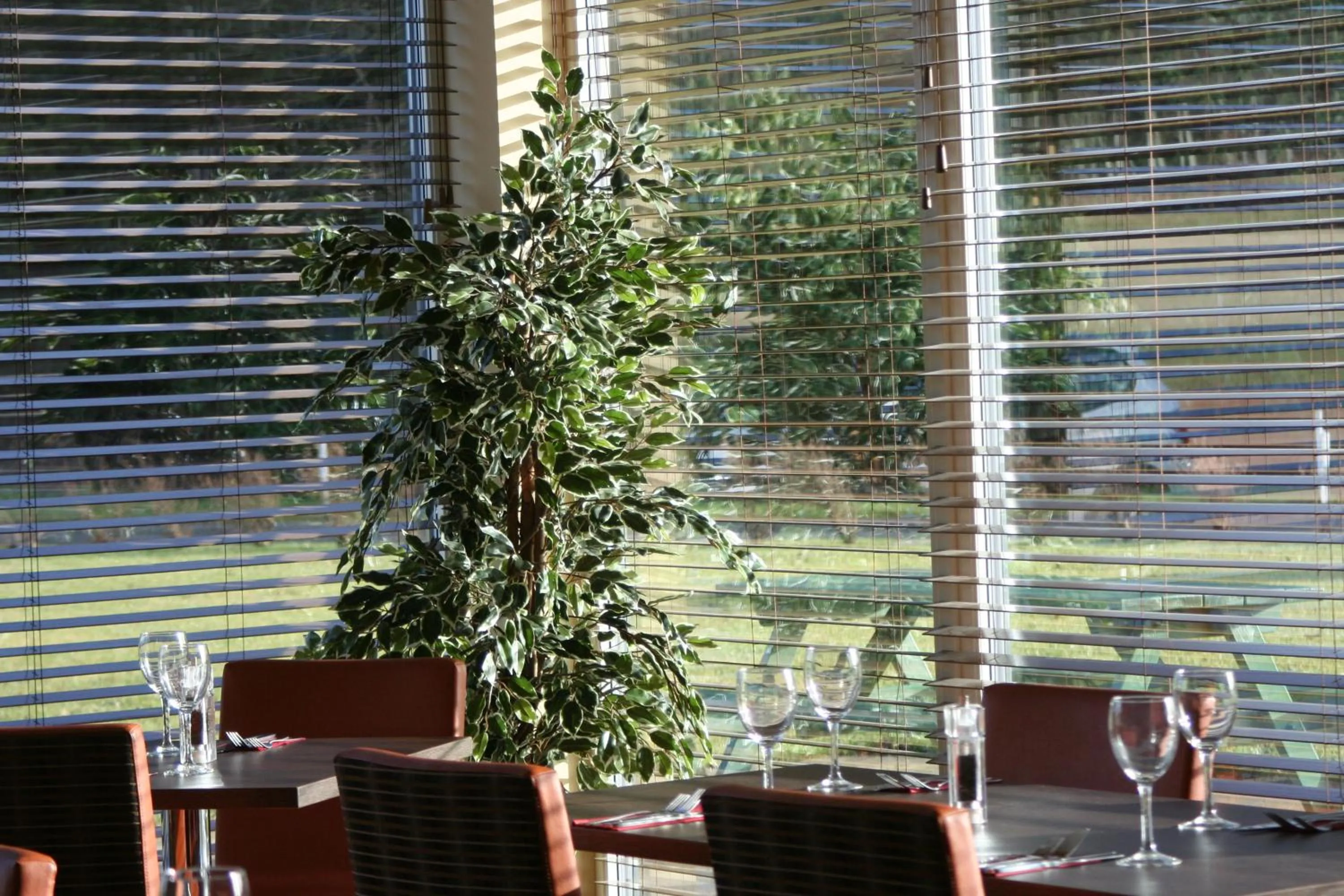 Day in The Lodge At Perth Racecourse