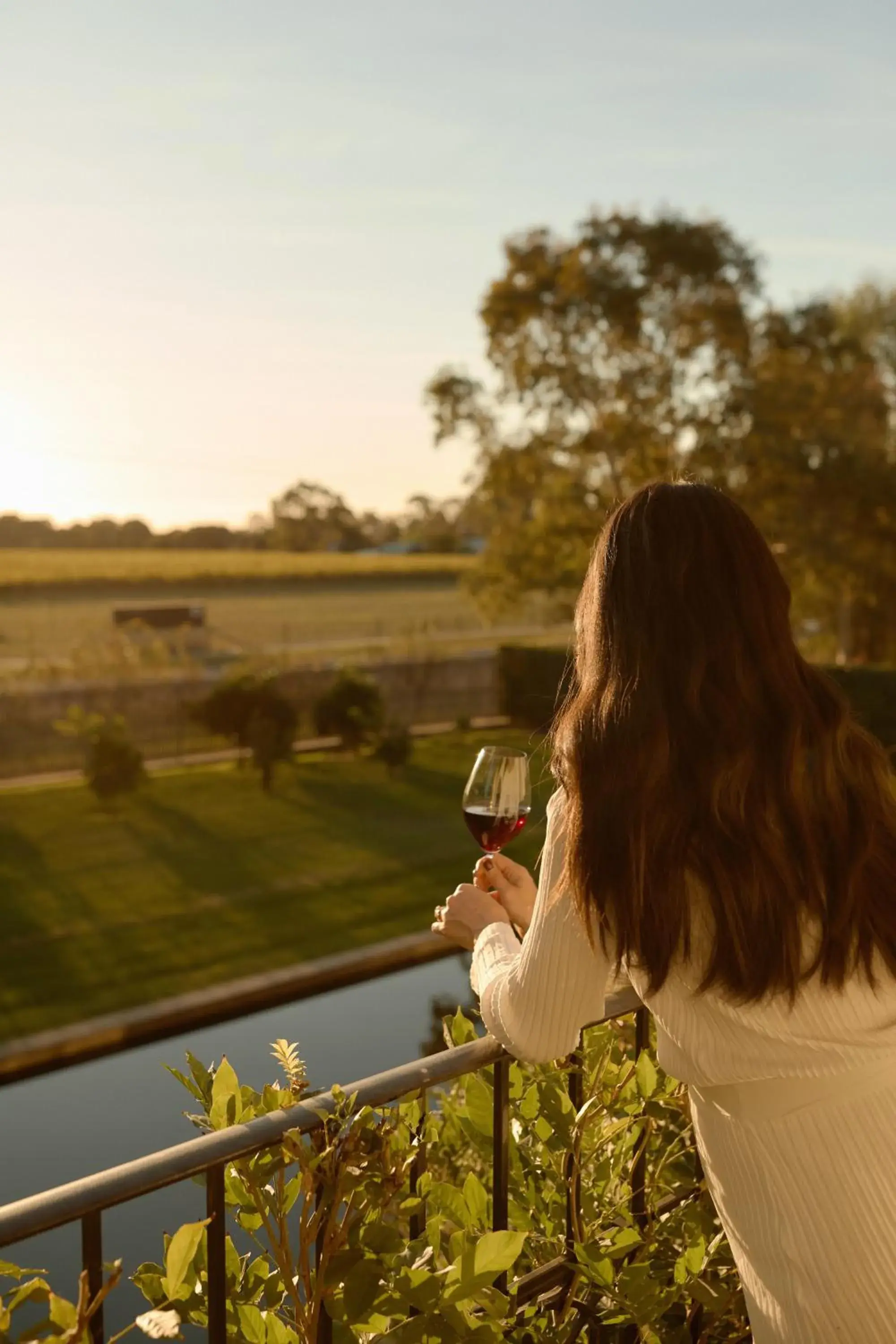 View (from property/room) in Lancemore Milawa View (from property/room) in Lancemore Milawa