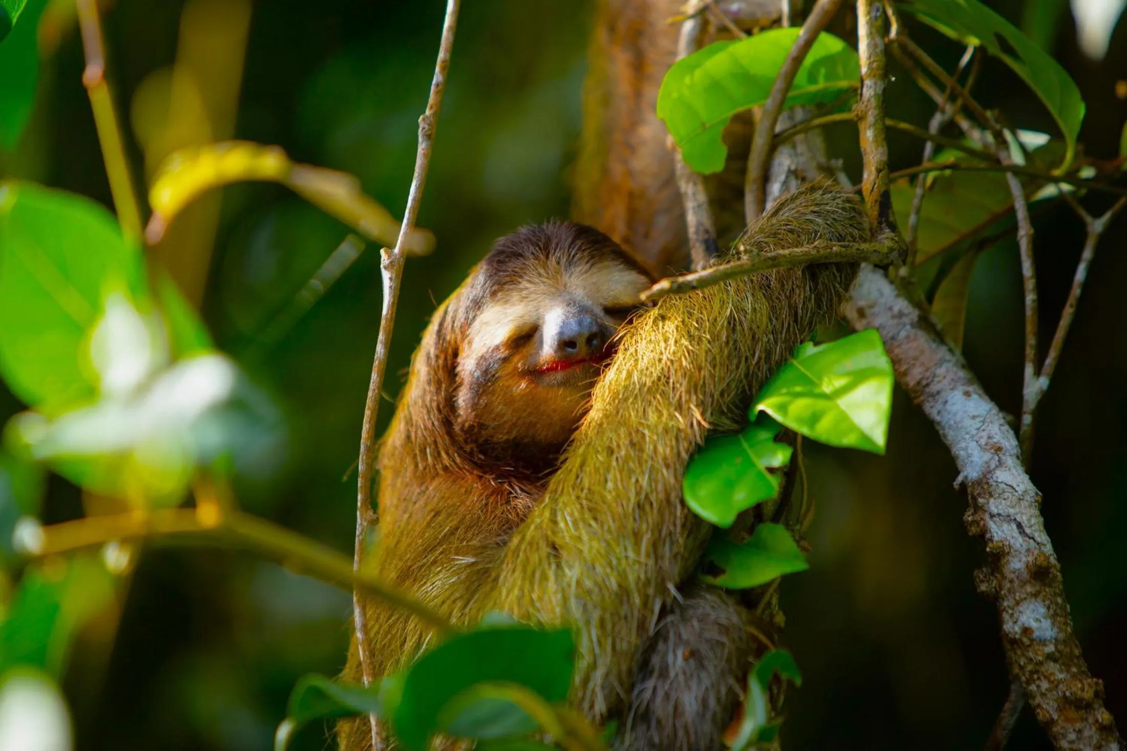 Natural landscape in Aninga Lodge