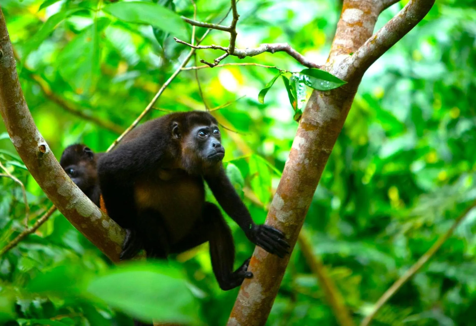 Natural landscape in Aninga Lodge