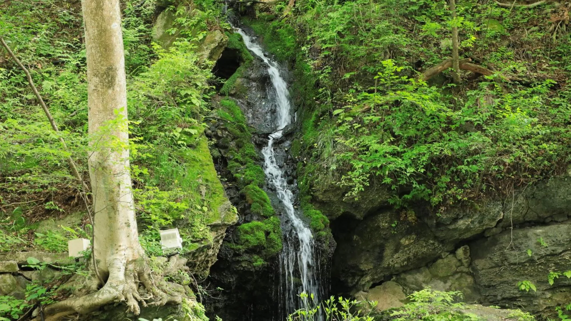 Yutorelo Nasushiobara